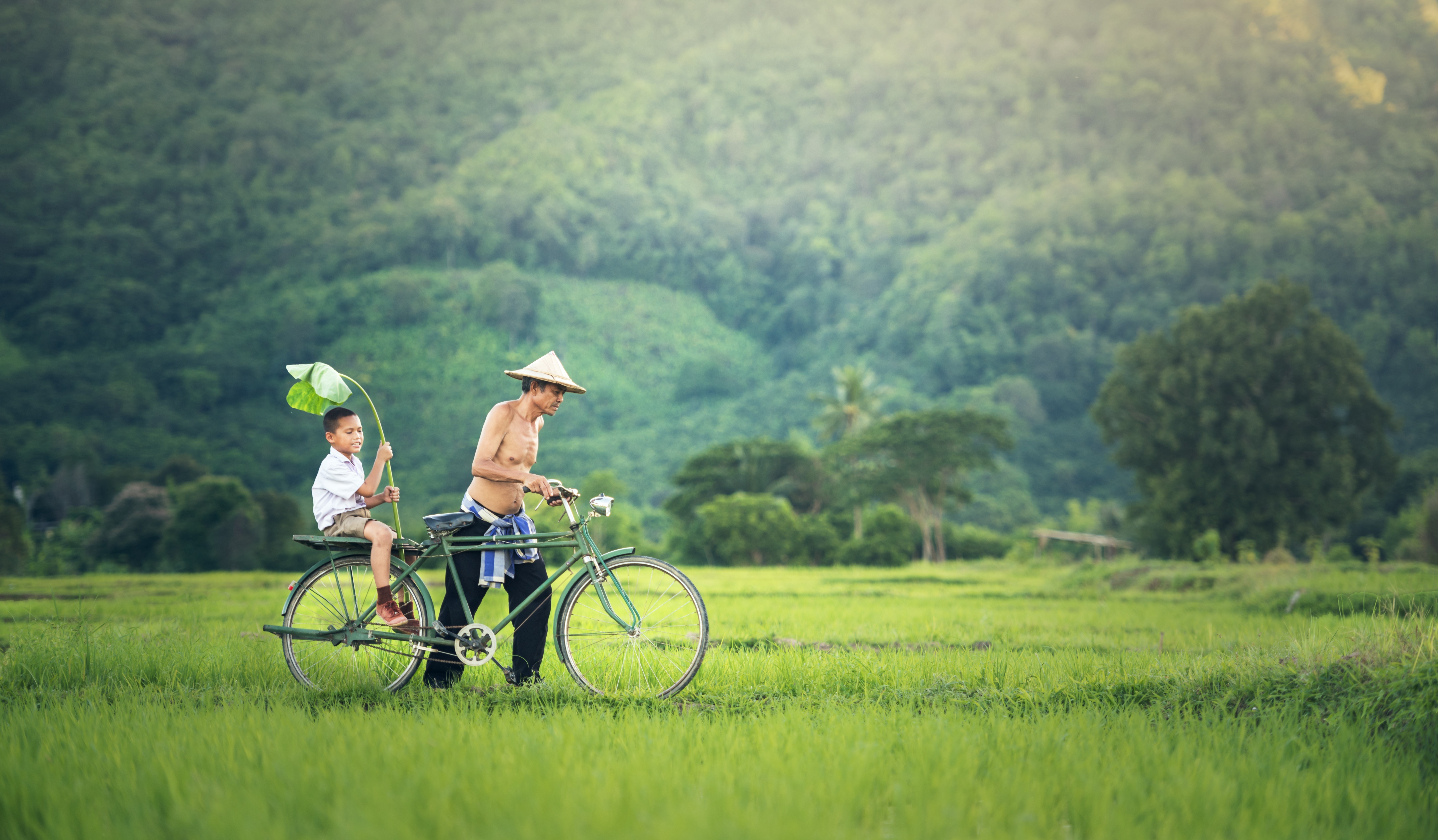 Man and boy on a bicycle in a rice field HD Wallpaper