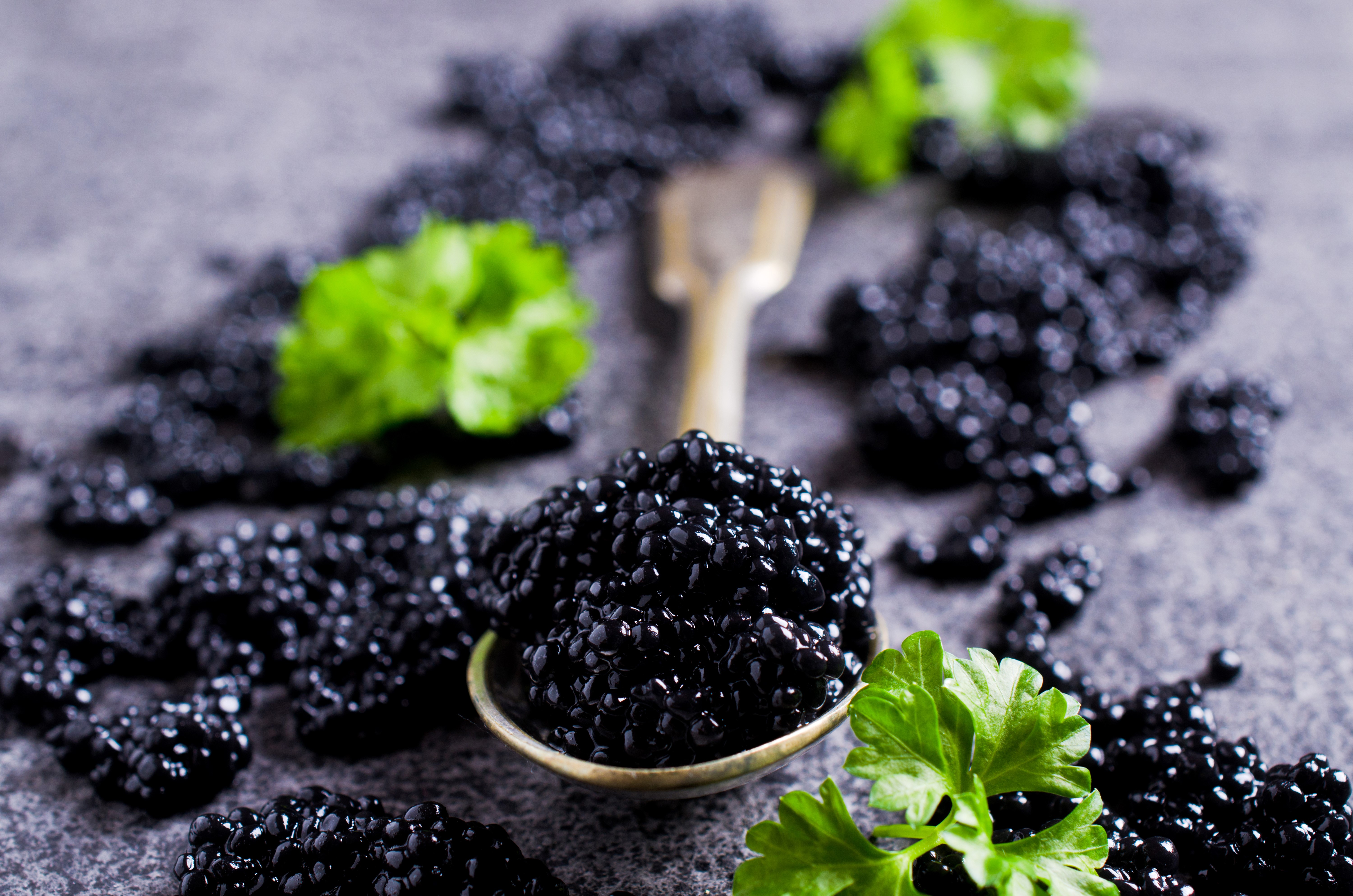 Black Caviar on a Spoon with Parsley HD Wallpaper
