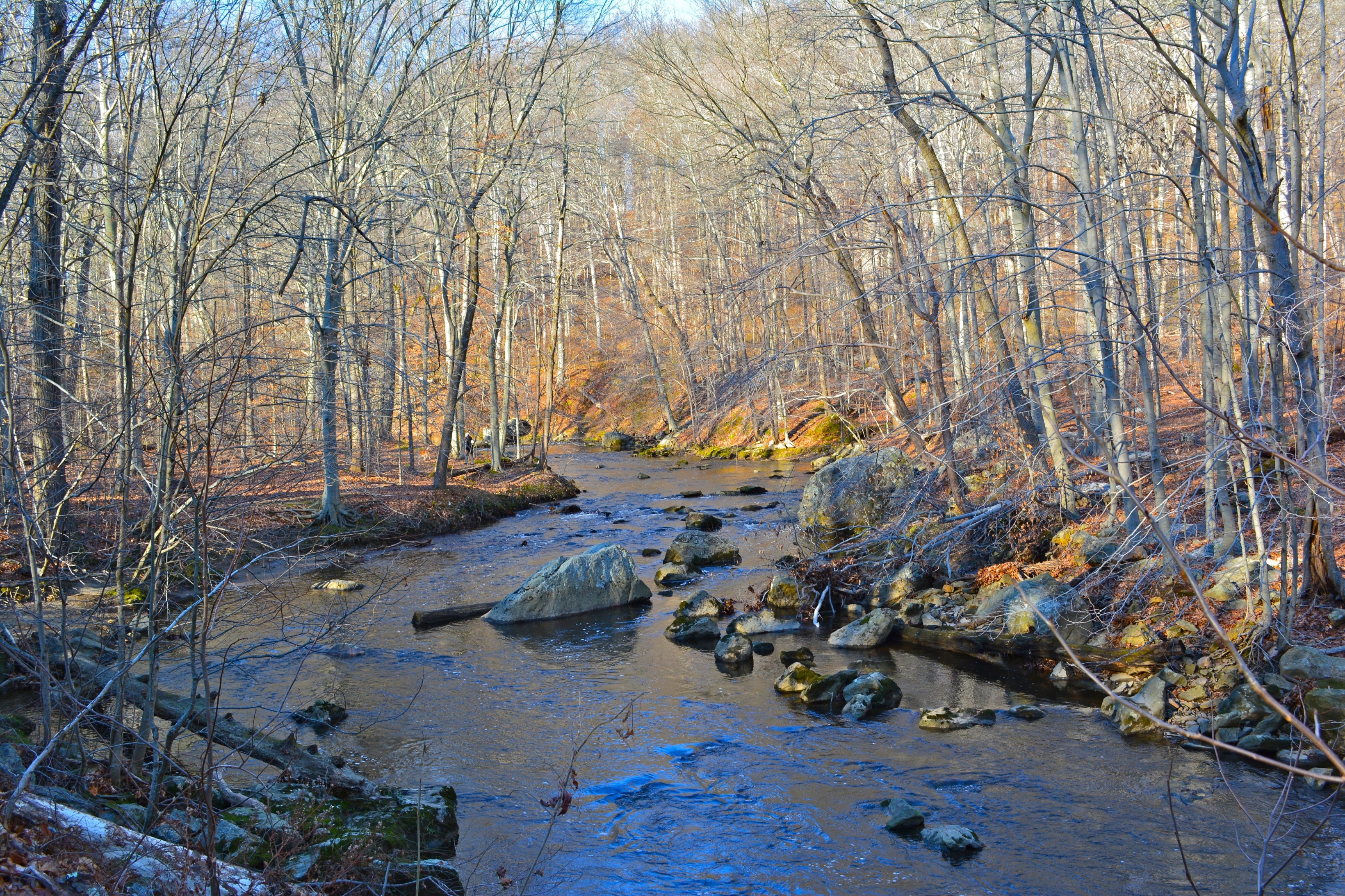 Ridley Creek State Park stream in autumn HD Wallpaper