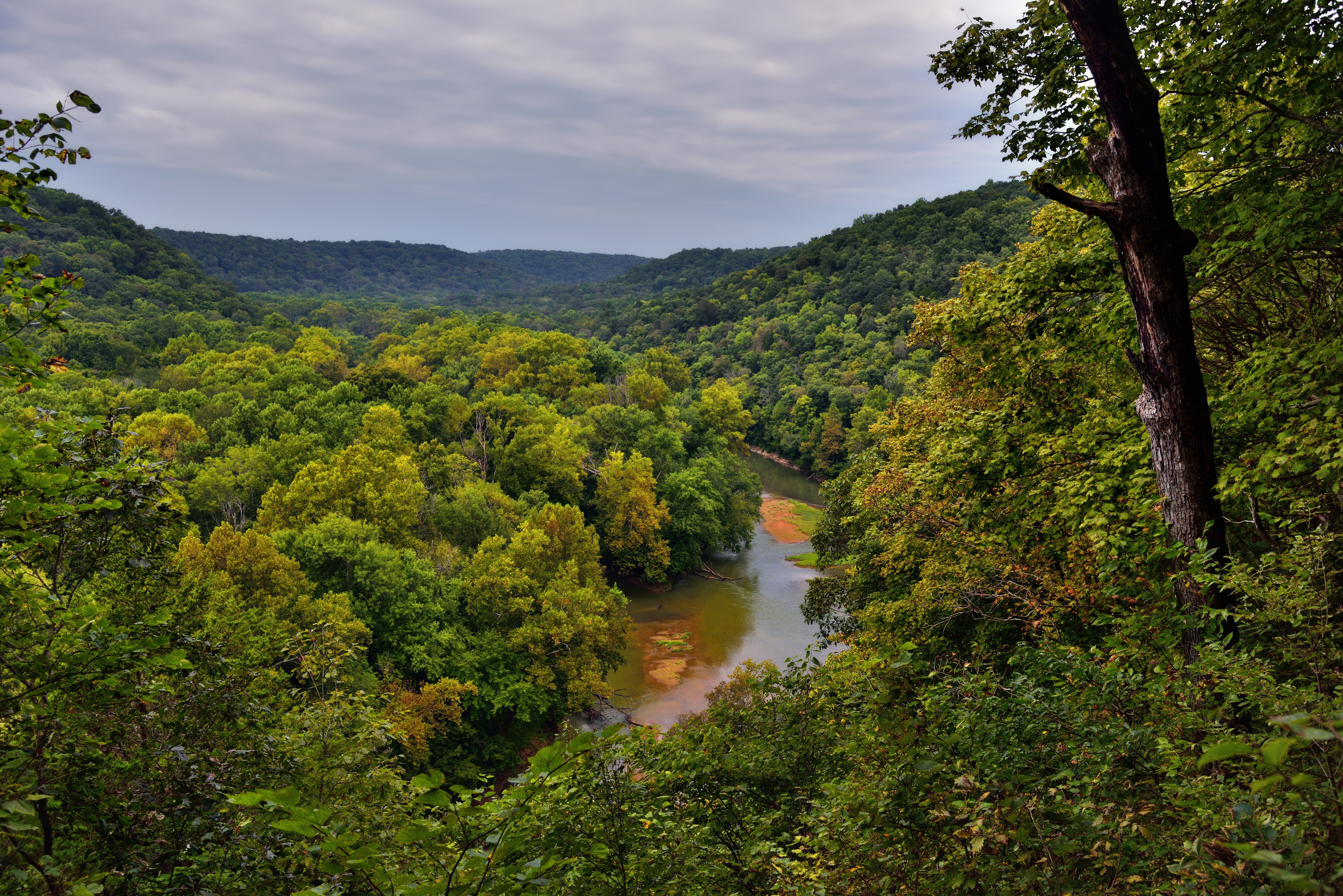 Mammoth Cave National Park River and Forest HD Wallpaper
