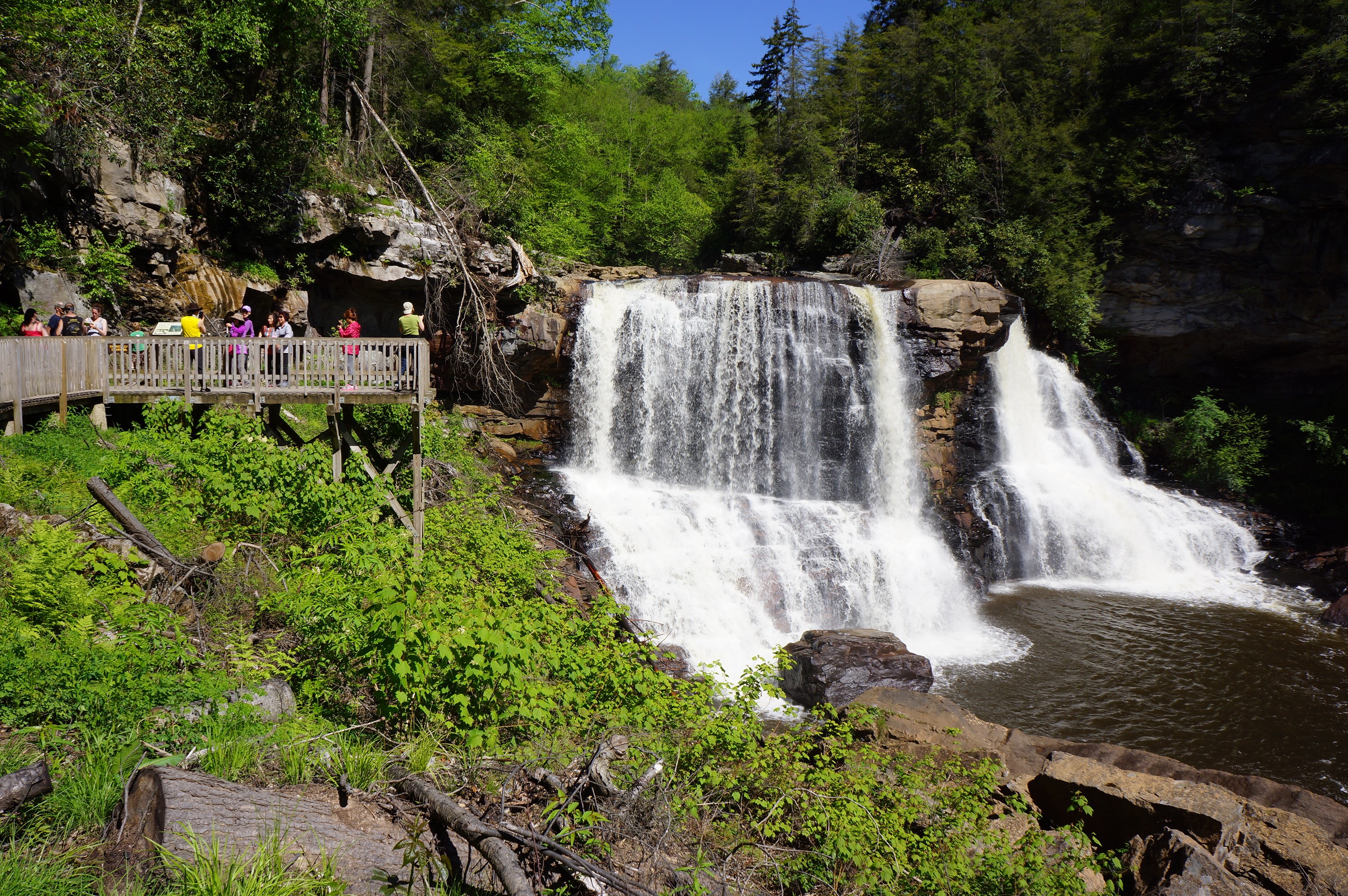 Blackwater Falls State Park, West Virginia, USA HD Wallpaper