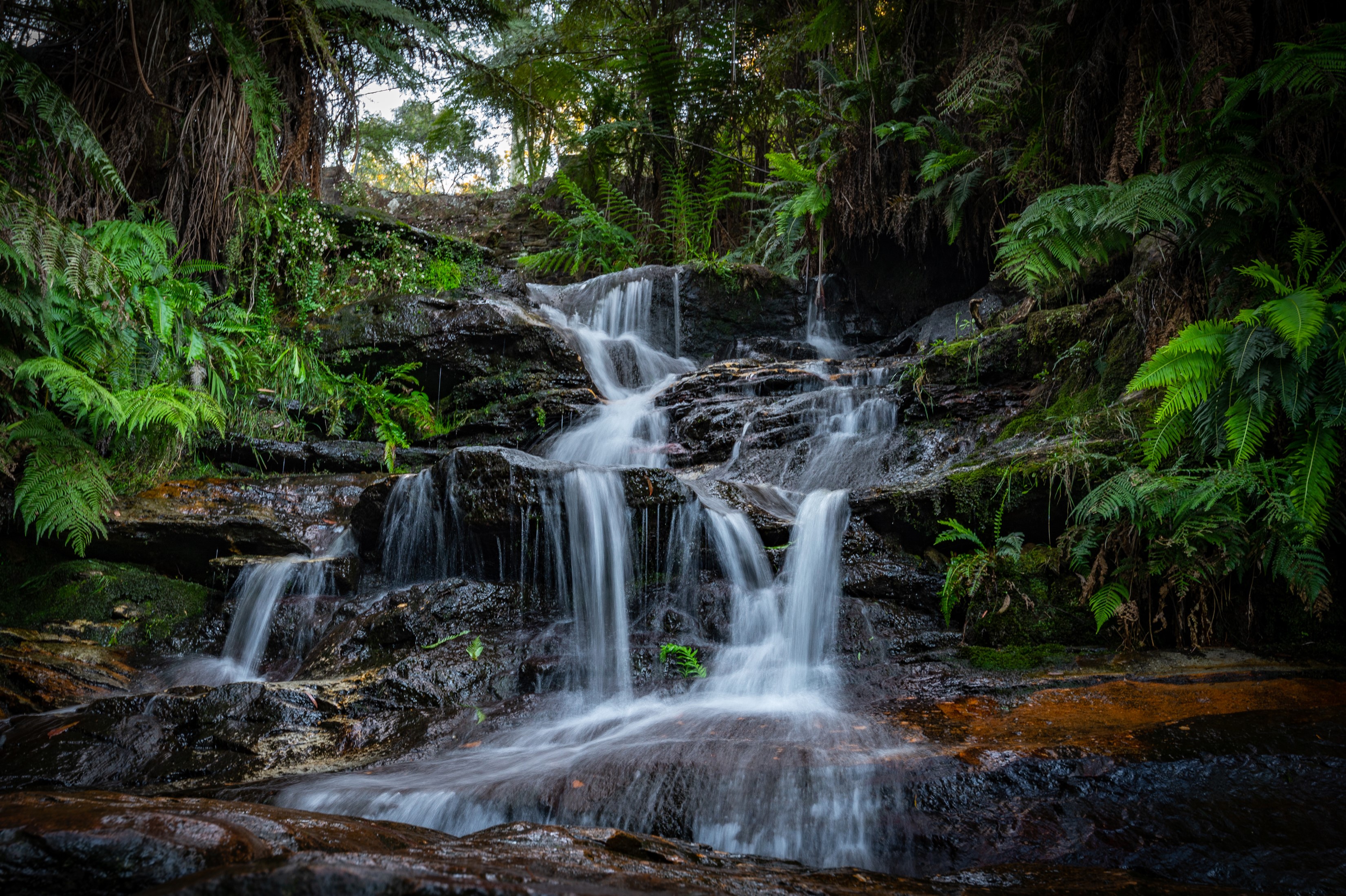 Waterfall cascading over mossy rocks in a forest HD Wallpaper