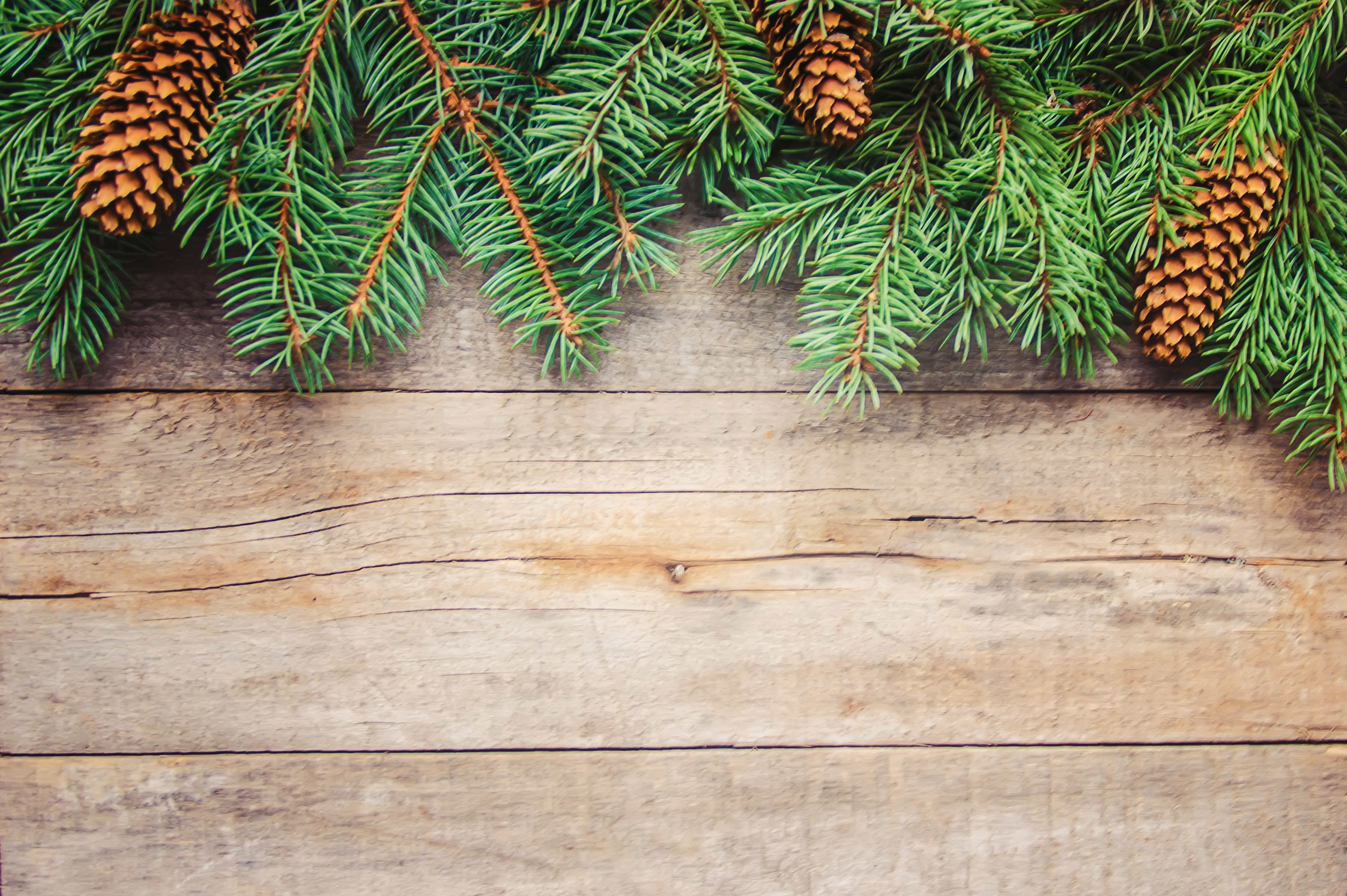 Christmas pine cones and branches on wood HD Wallpaper