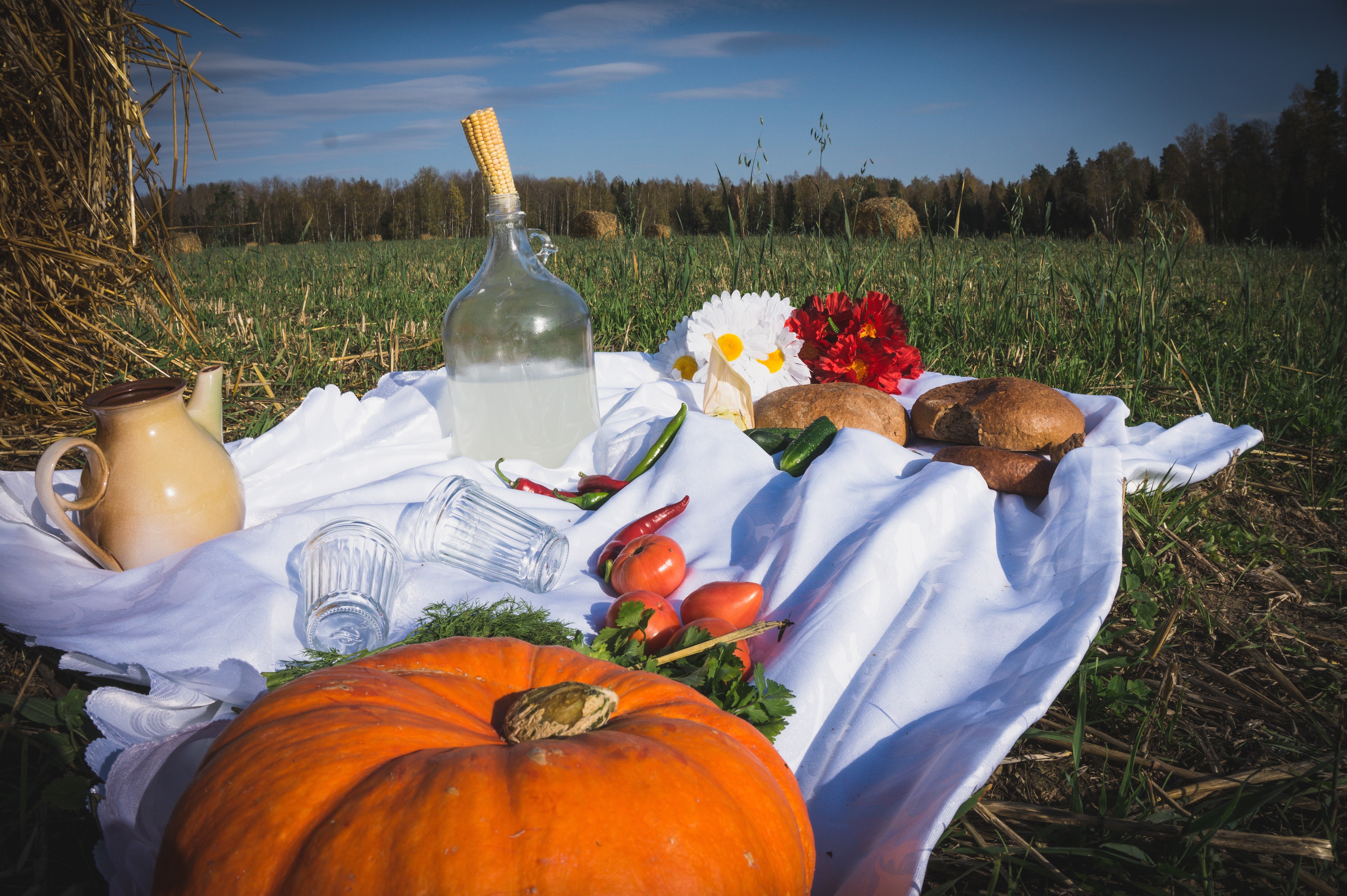 Picnic with Pumpkin, Bread, and Vodka in a Field HD Wallpaper