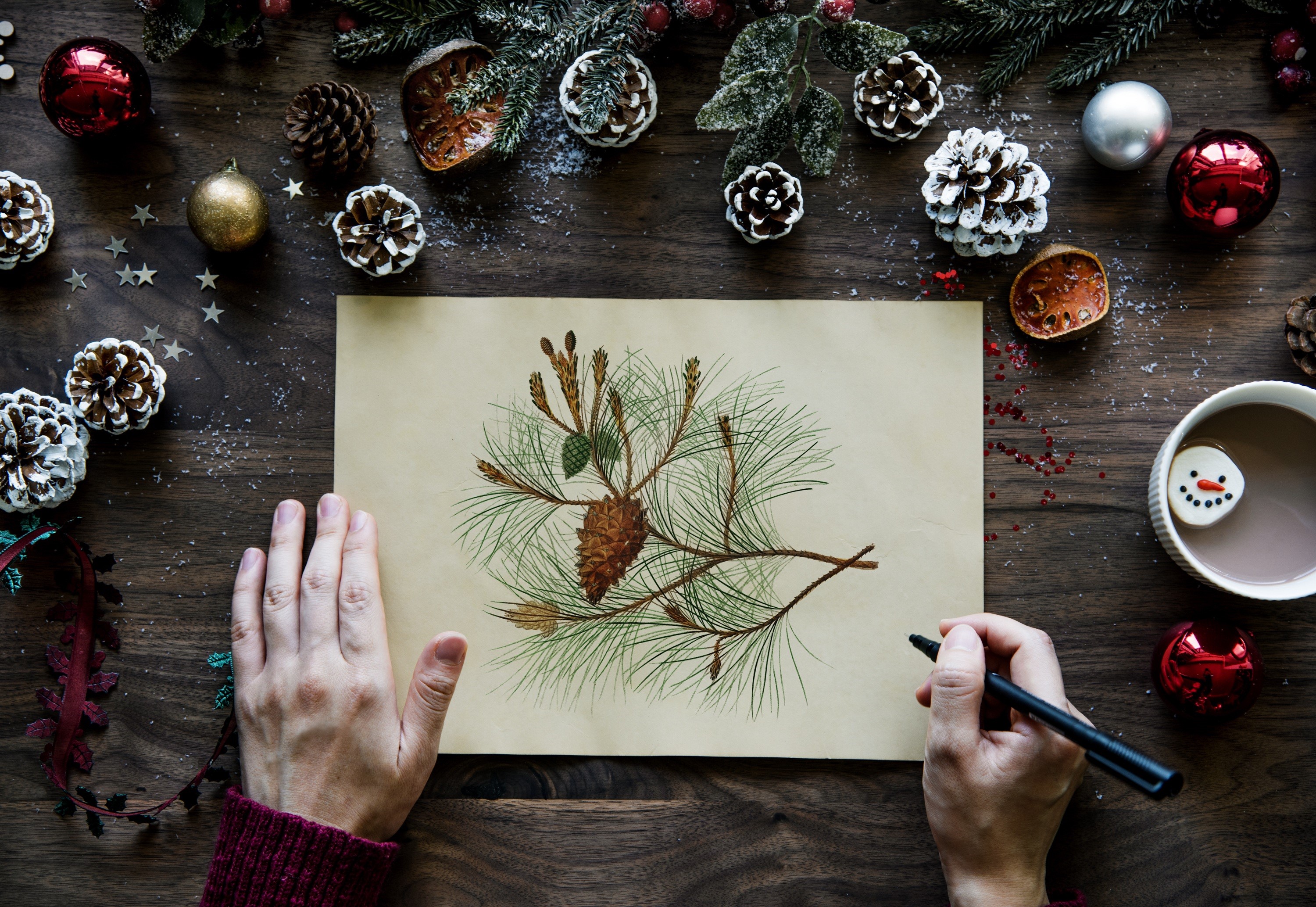 Christmas flat lay with pine cone drawing and hot chocolate HD Wallpaper