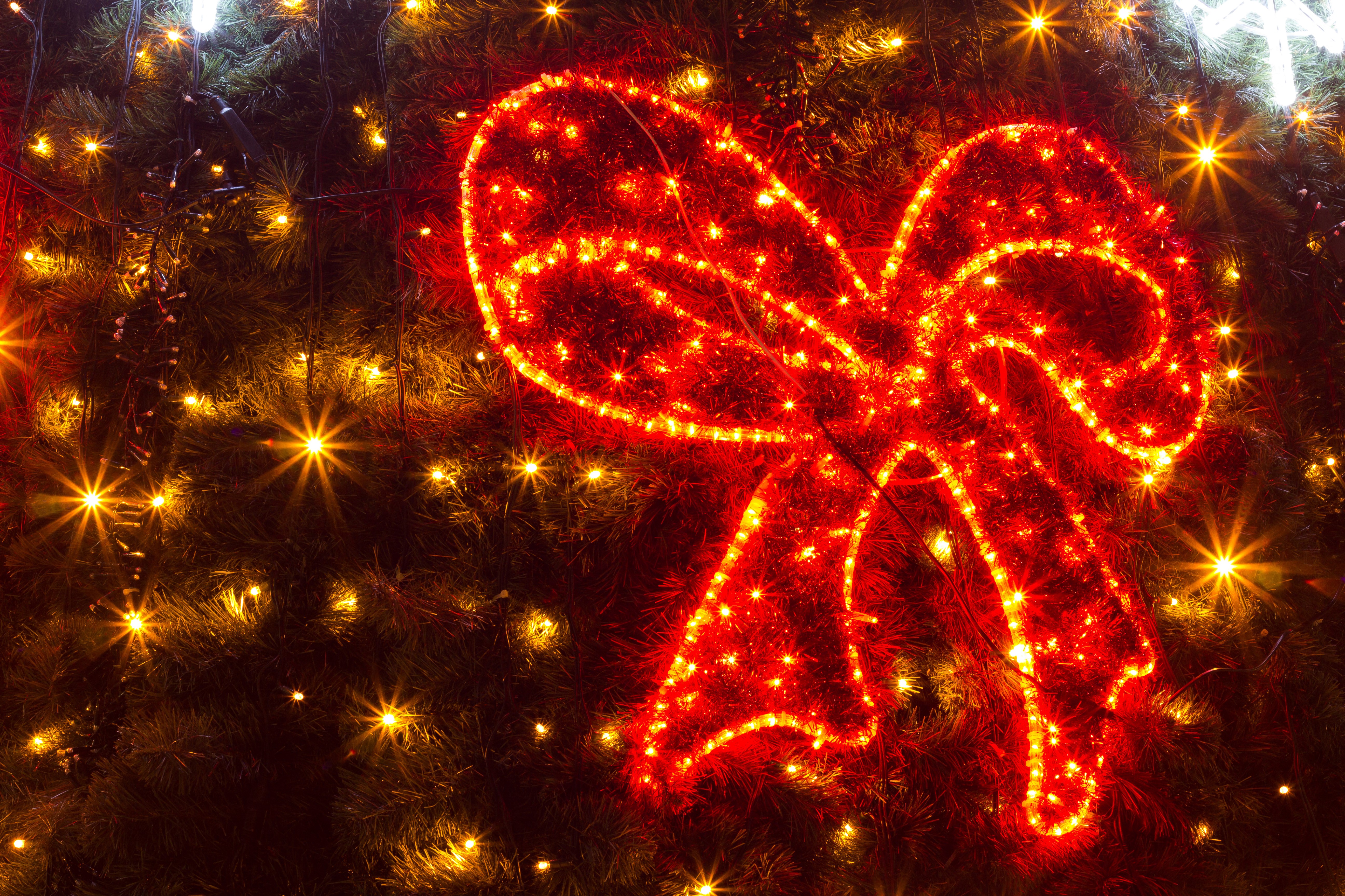 Red Bowknot Christmas Lights HD Wallpaper