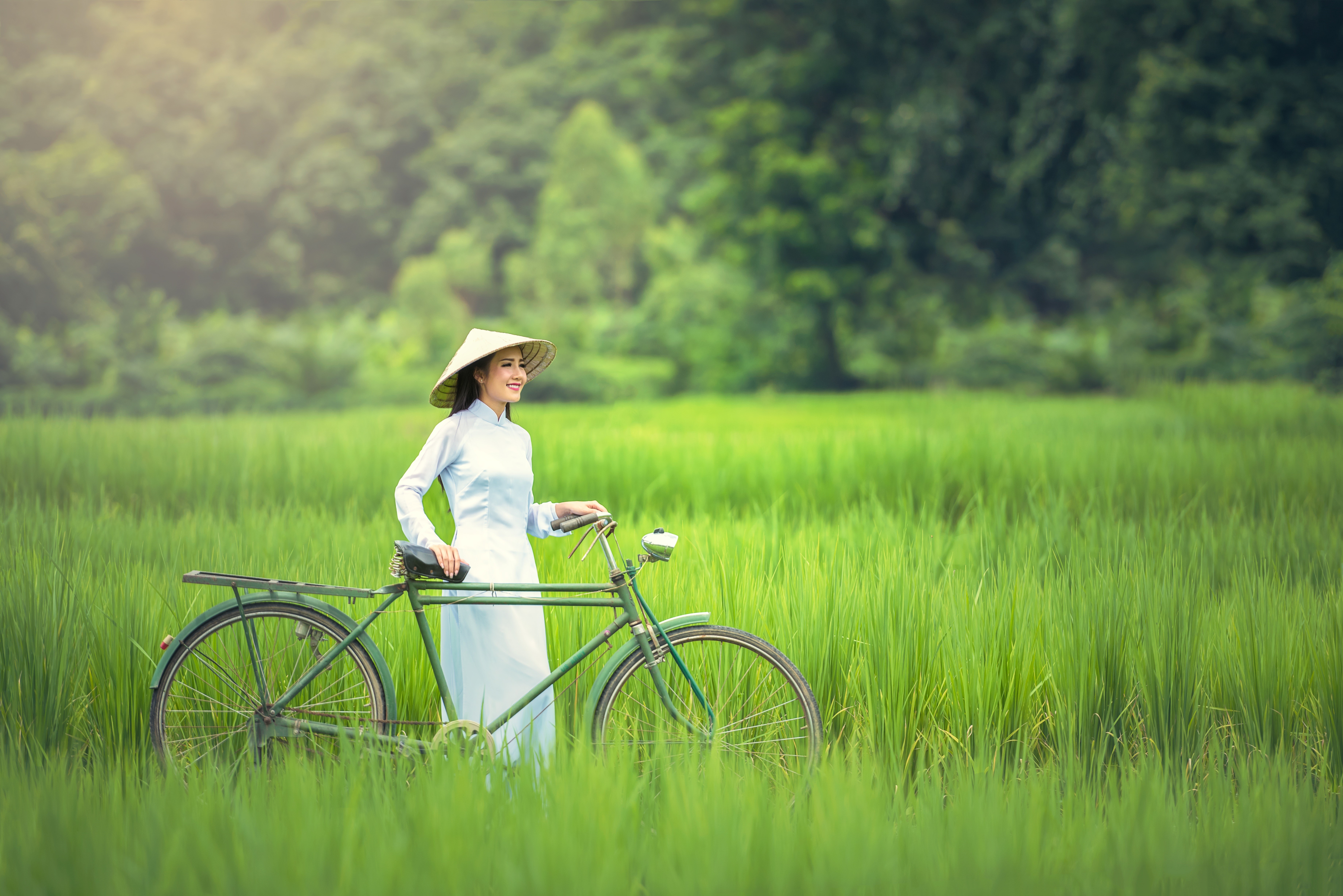 Asian woman with bicycle in rice field HD Wallpaper