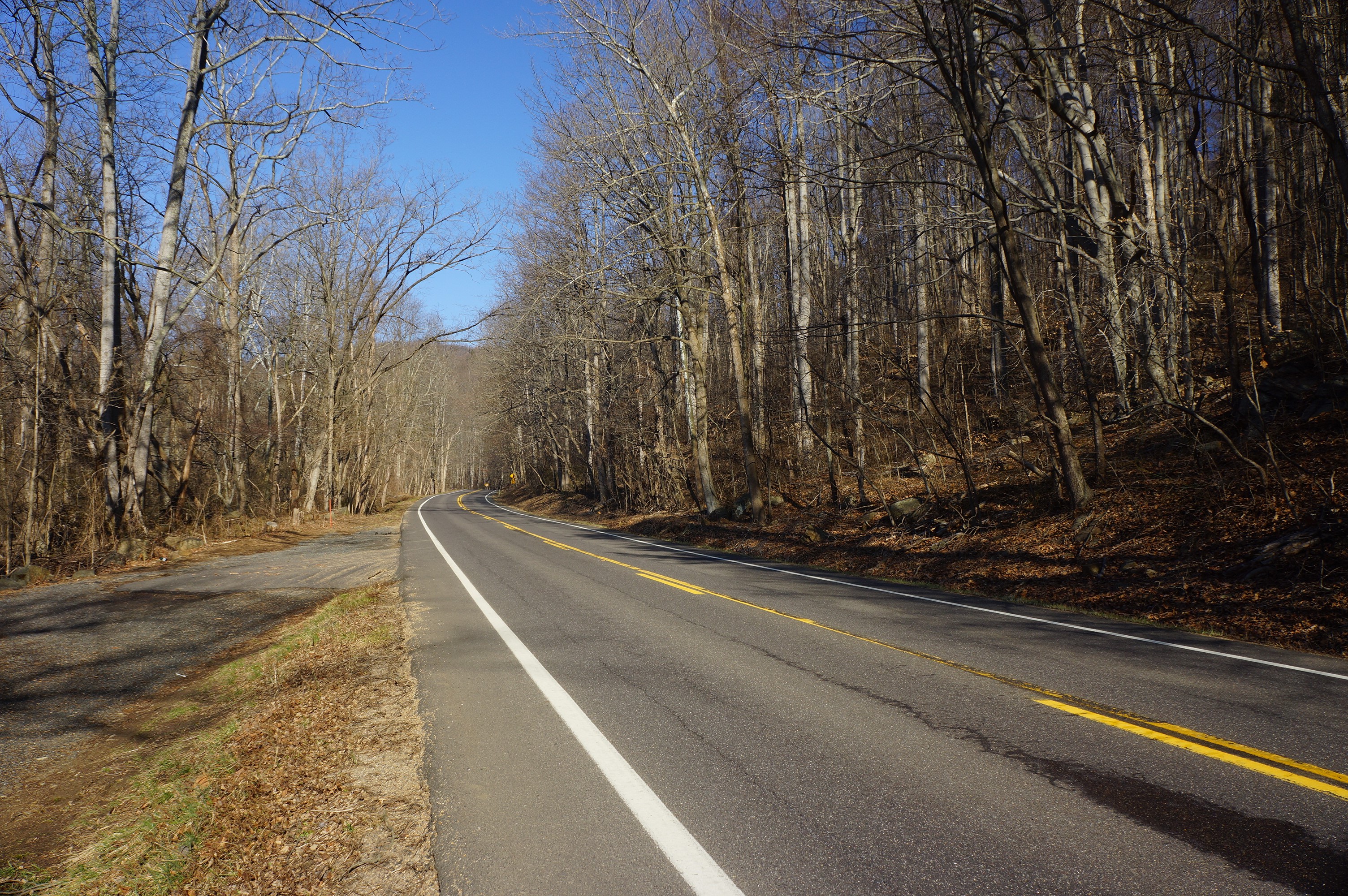Road through Shenandoah National Park in Autumn HD Wallpaper