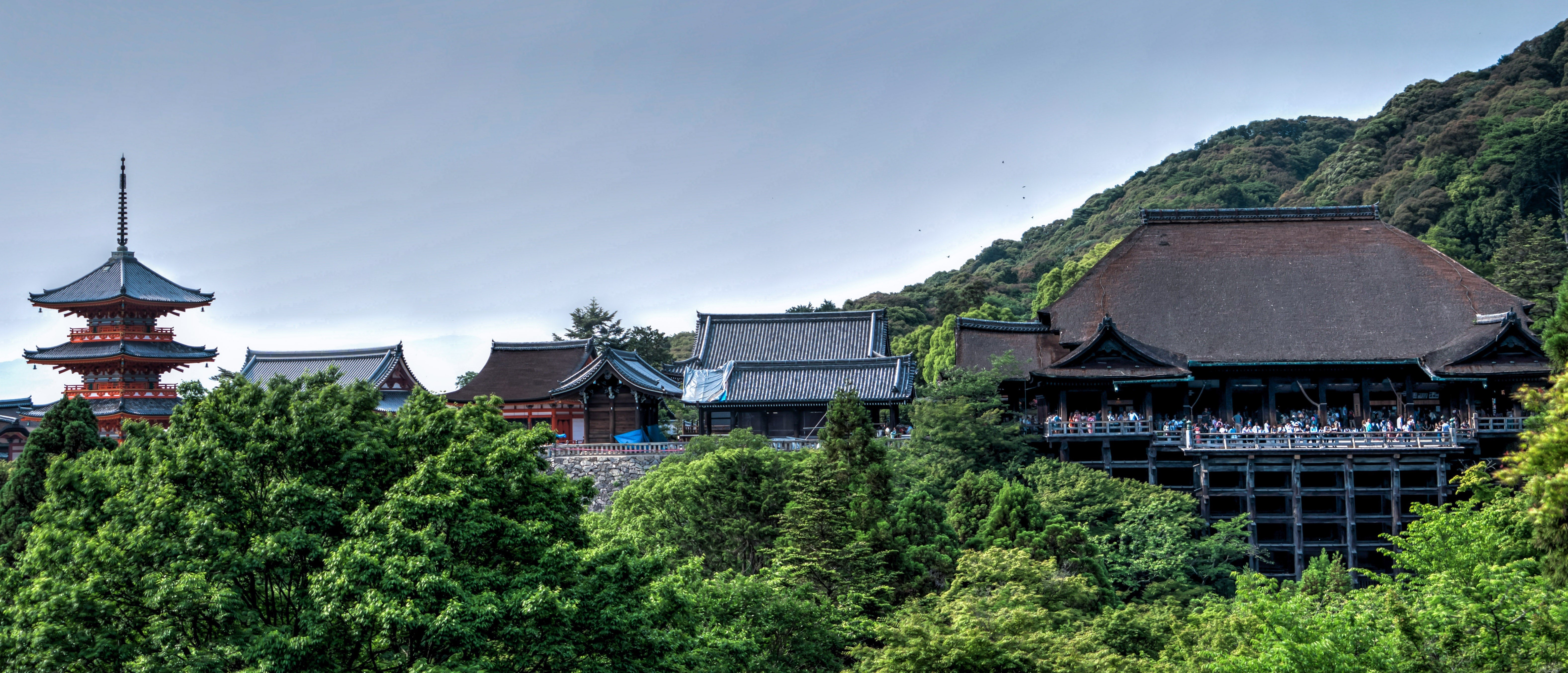 Kiyomizu-Dera Temple in Kyoto, Japan HD Wallpaper