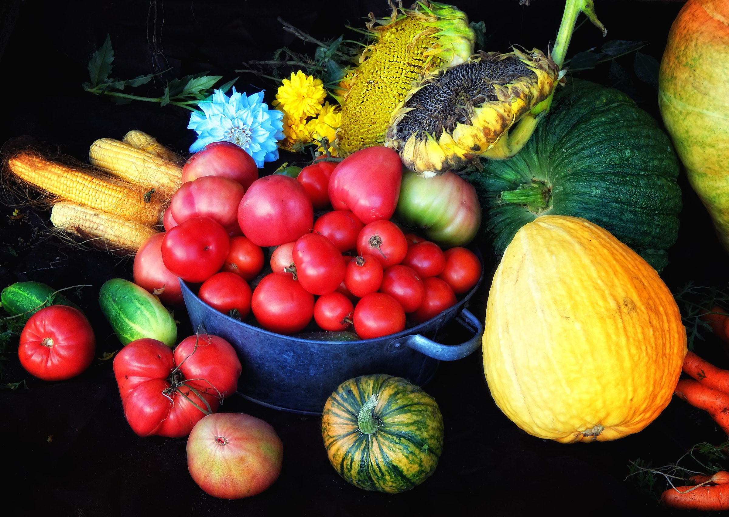 Still life of fresh vegetables and sunflowers HD Wallpaper