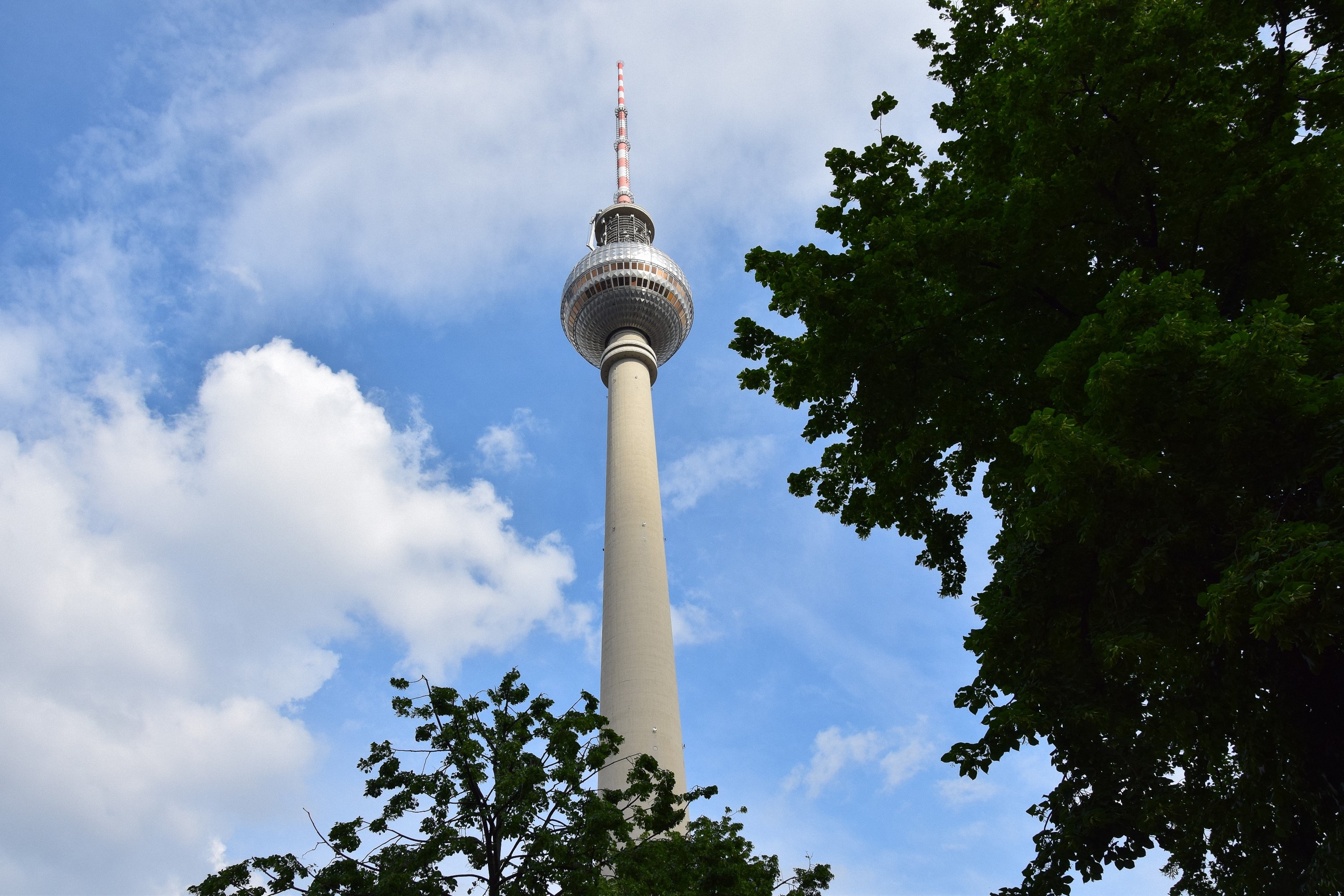 Berlin TV Tower behind trees HD Wallpaper