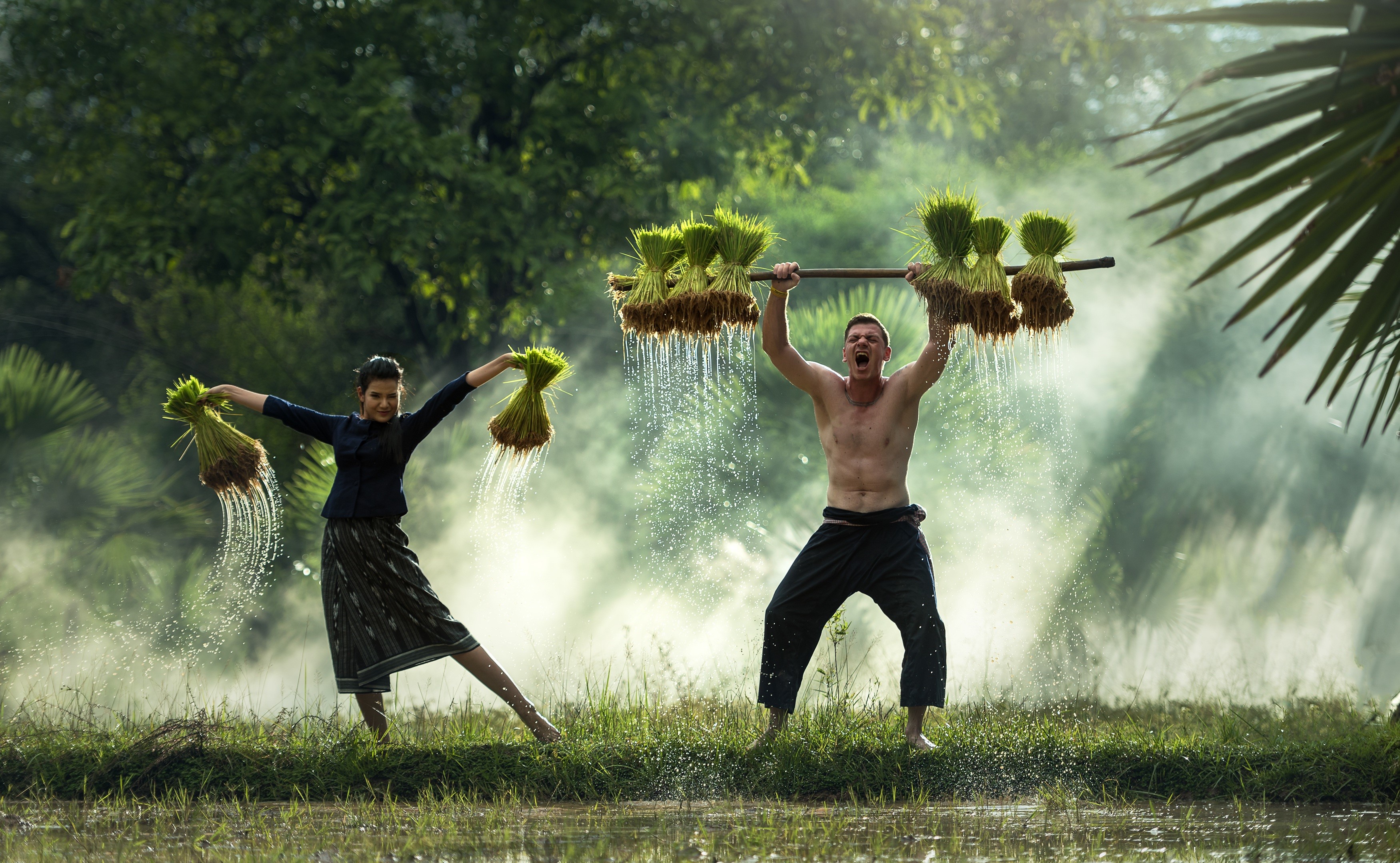 Farmers carrying rice seedlings in a misty field HD Wallpaper