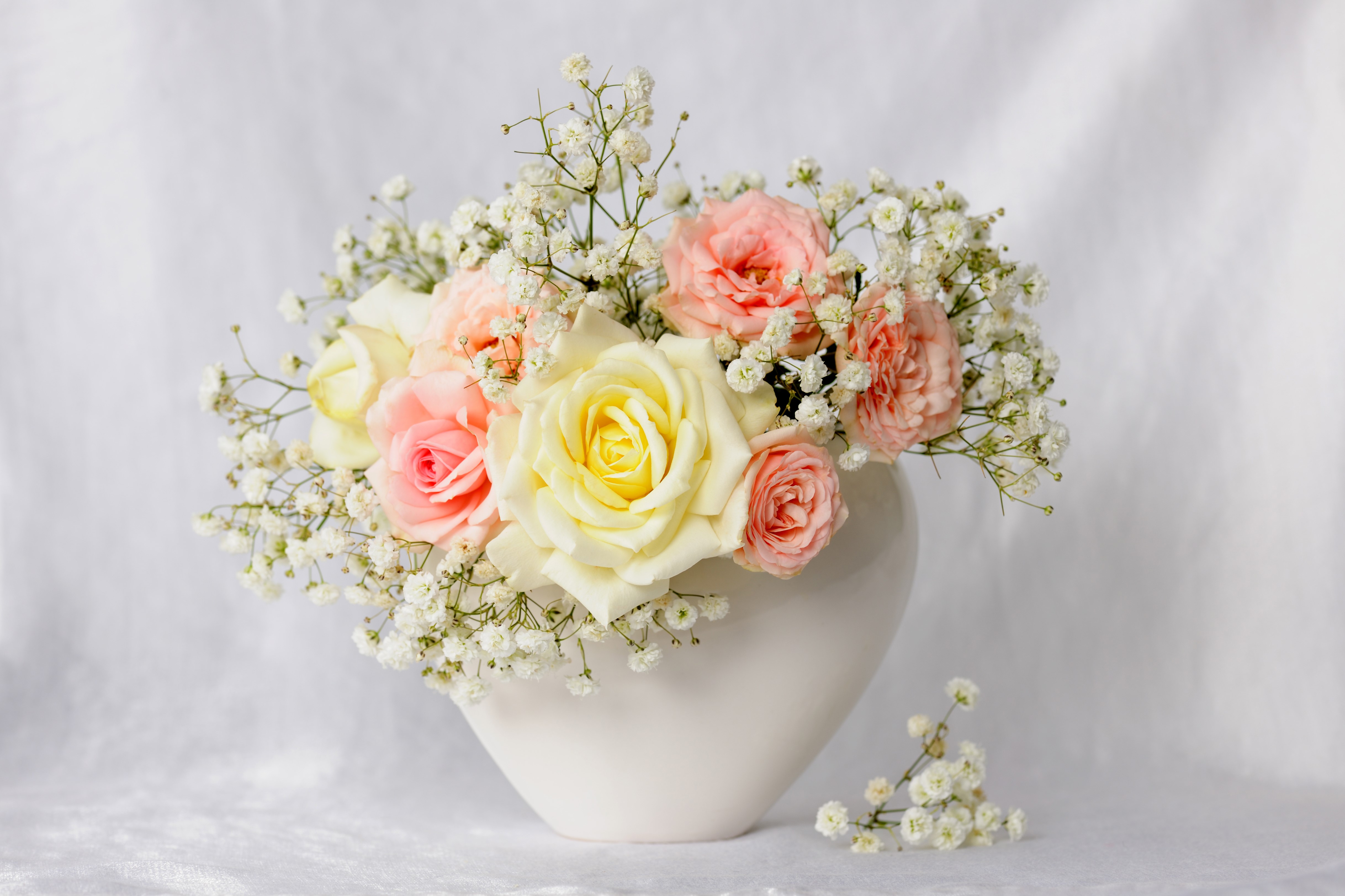 Bouquet of Roses in a White Vase HD Wallpaper