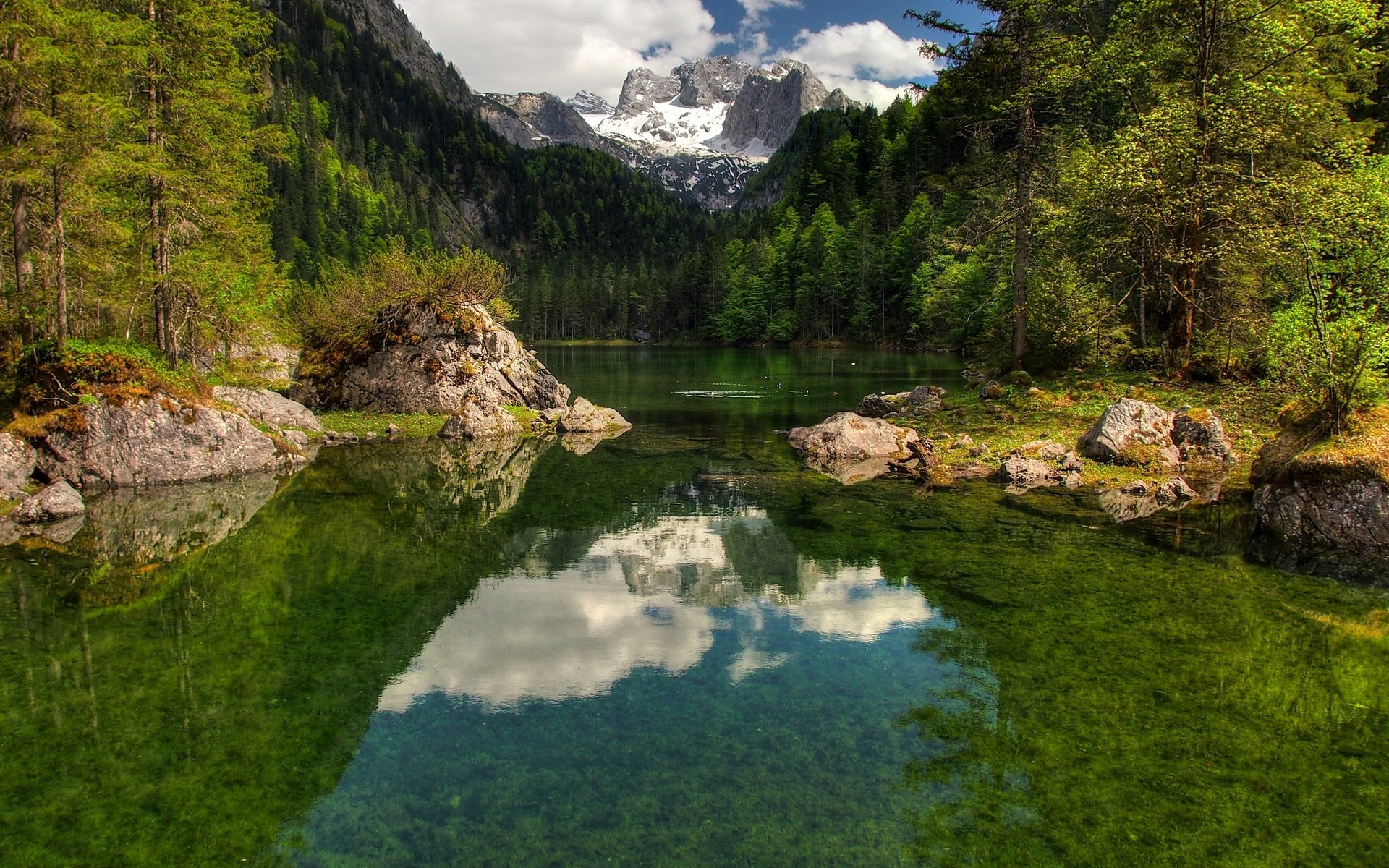 Mountain lake with forest and snow-capped peaks HD Wallpaper