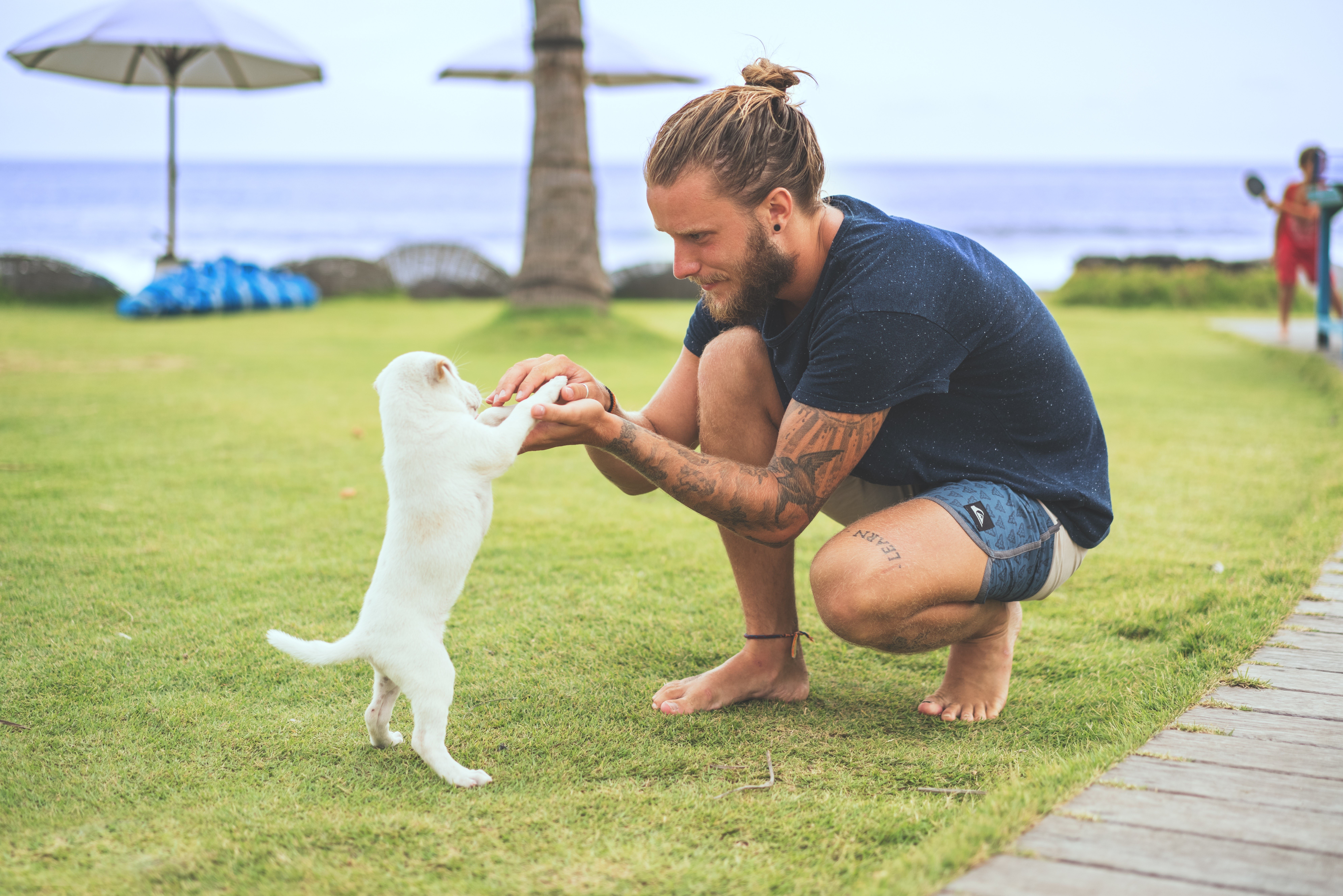 Man playing with a puppy on the grass near the ocean HD Wallpaper