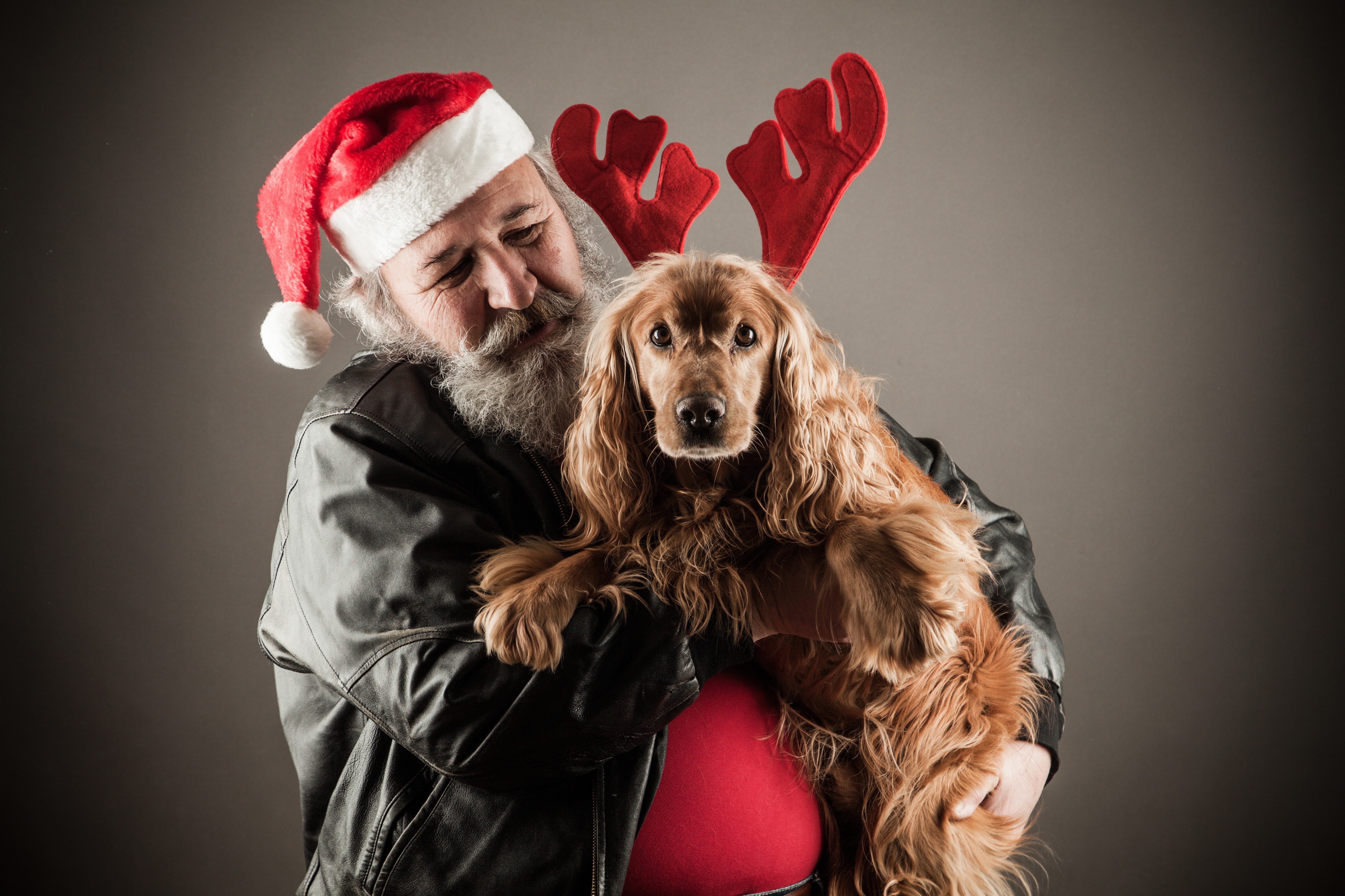 Man in Santa hat holding a dog with reindeer antlers HD Wallpaper