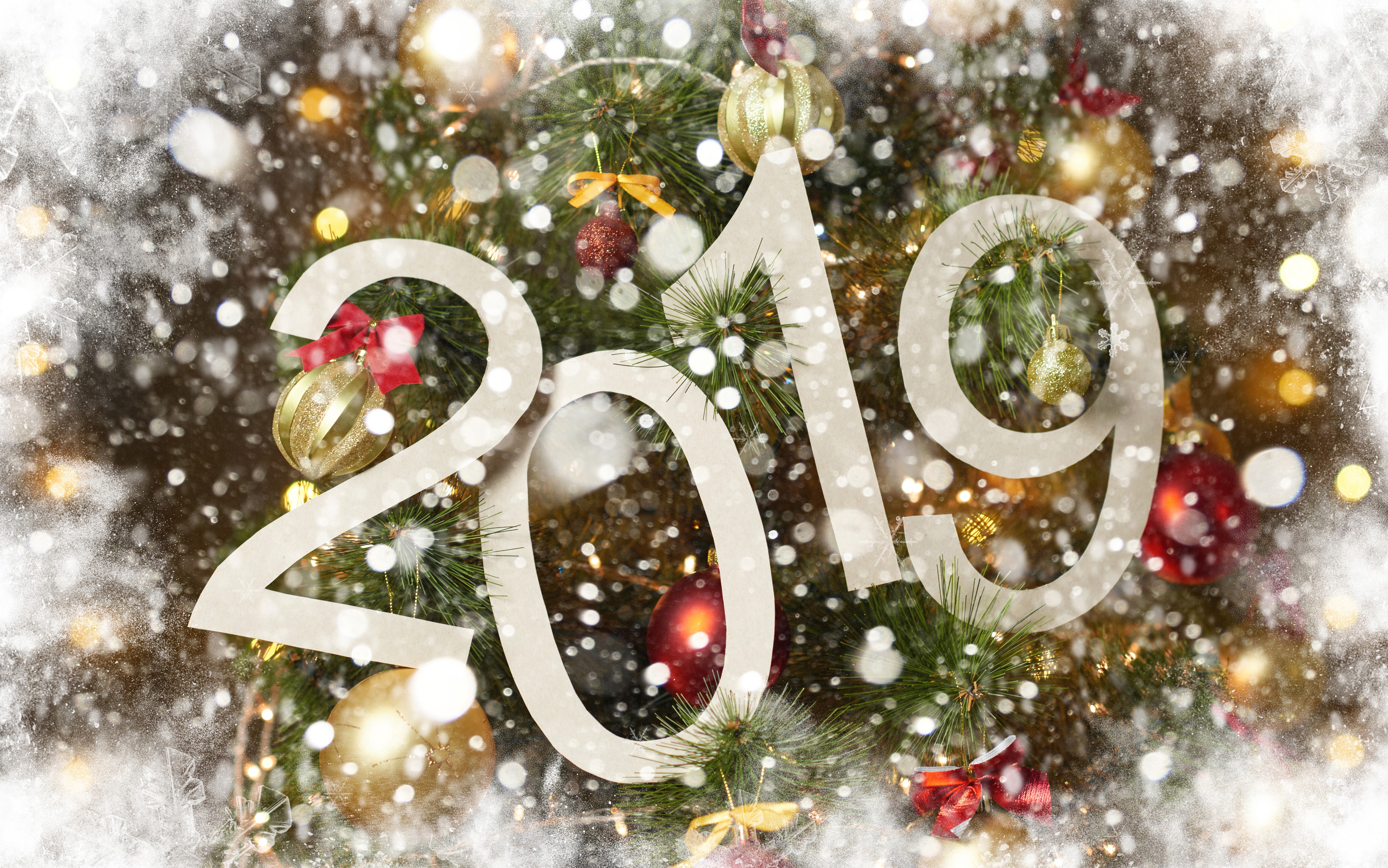 2019 New Year Christmas Tree Snow HD Wallpaper