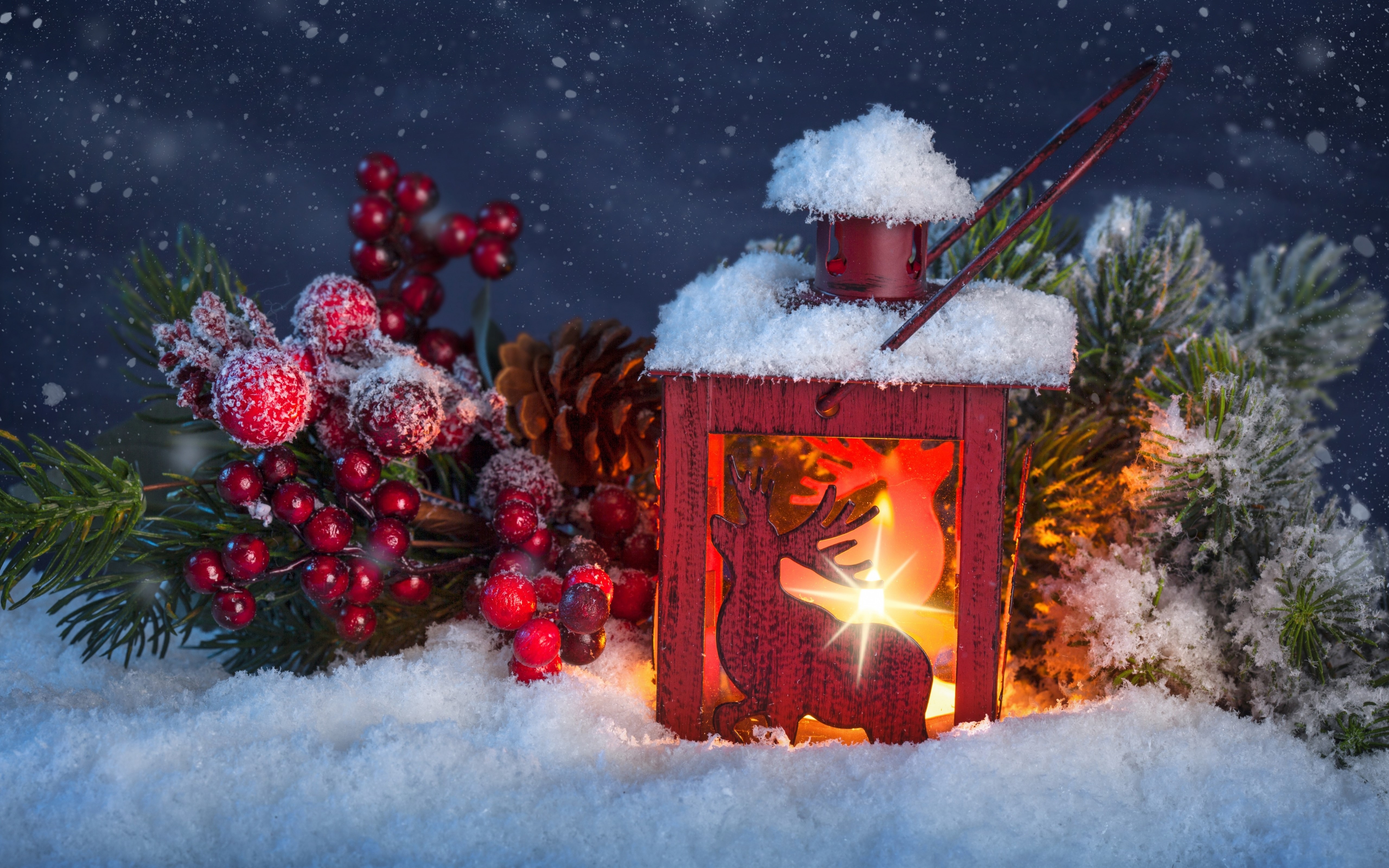 Christmas lantern with snow and berries HD Wallpaper