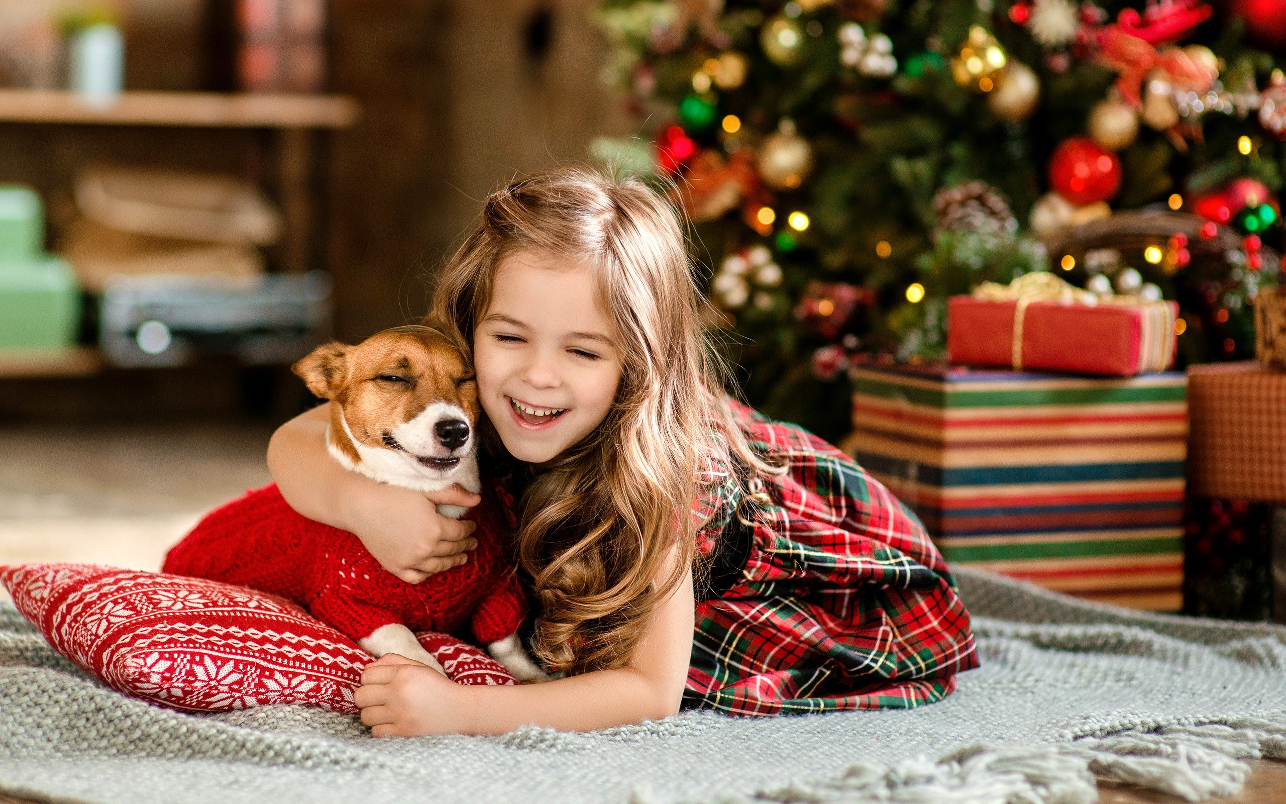 Girl hugging a dog near a Christmas tree HD Wallpaper