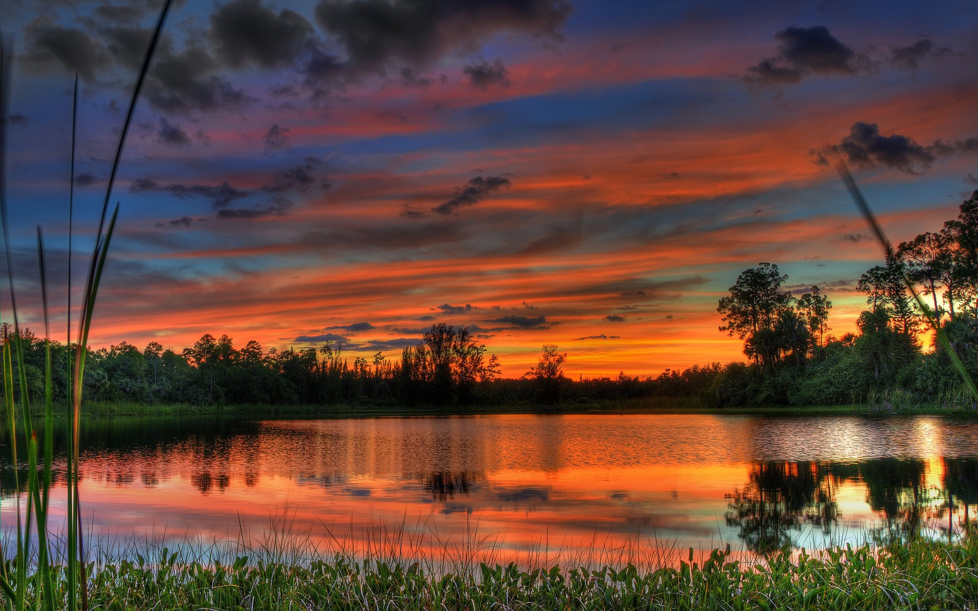 Sunset over a lake with trees and reeds HD Wallpaper