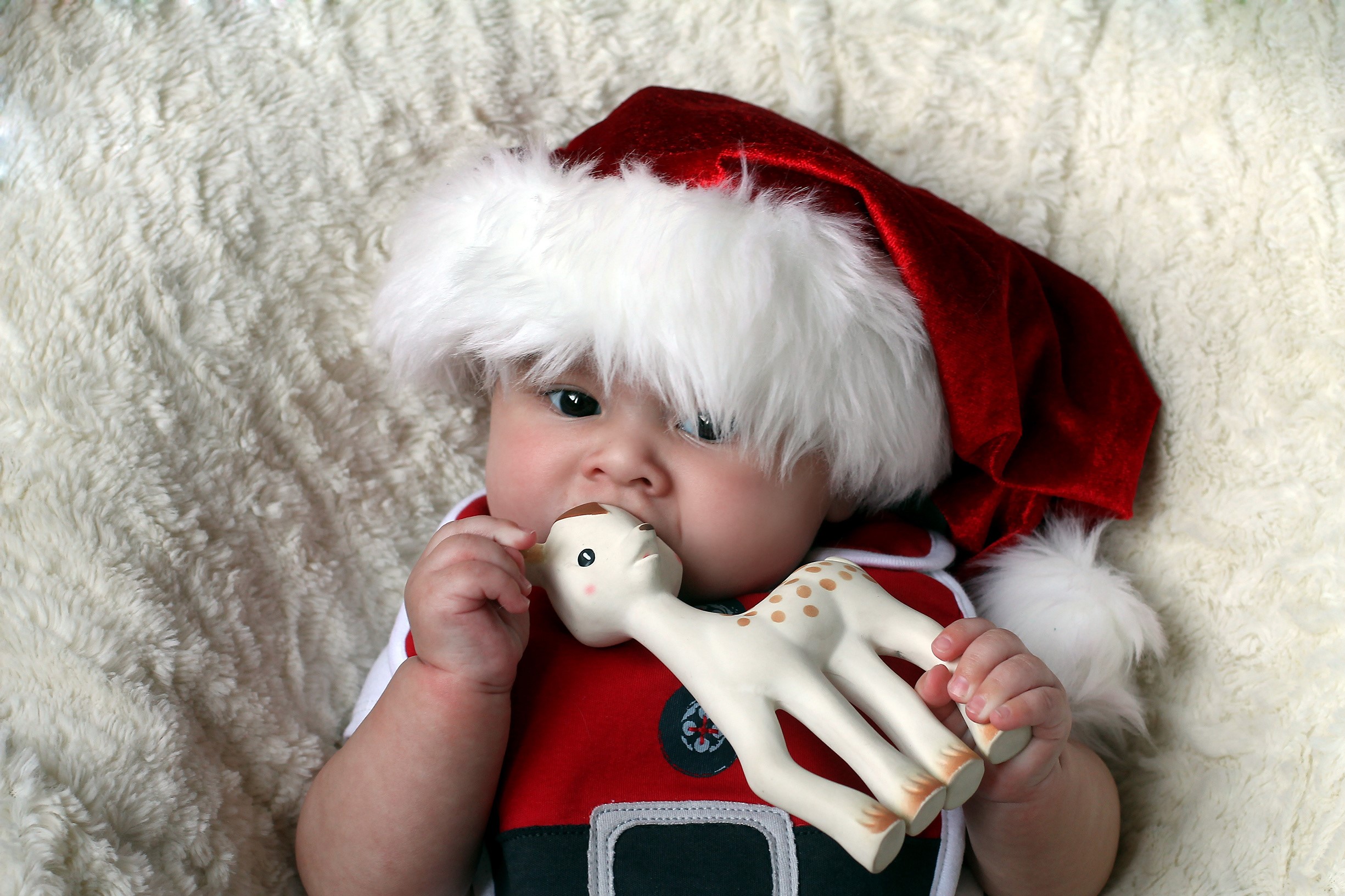 Baby in Santa hat chewing on a giraffe toy HD Wallpaper