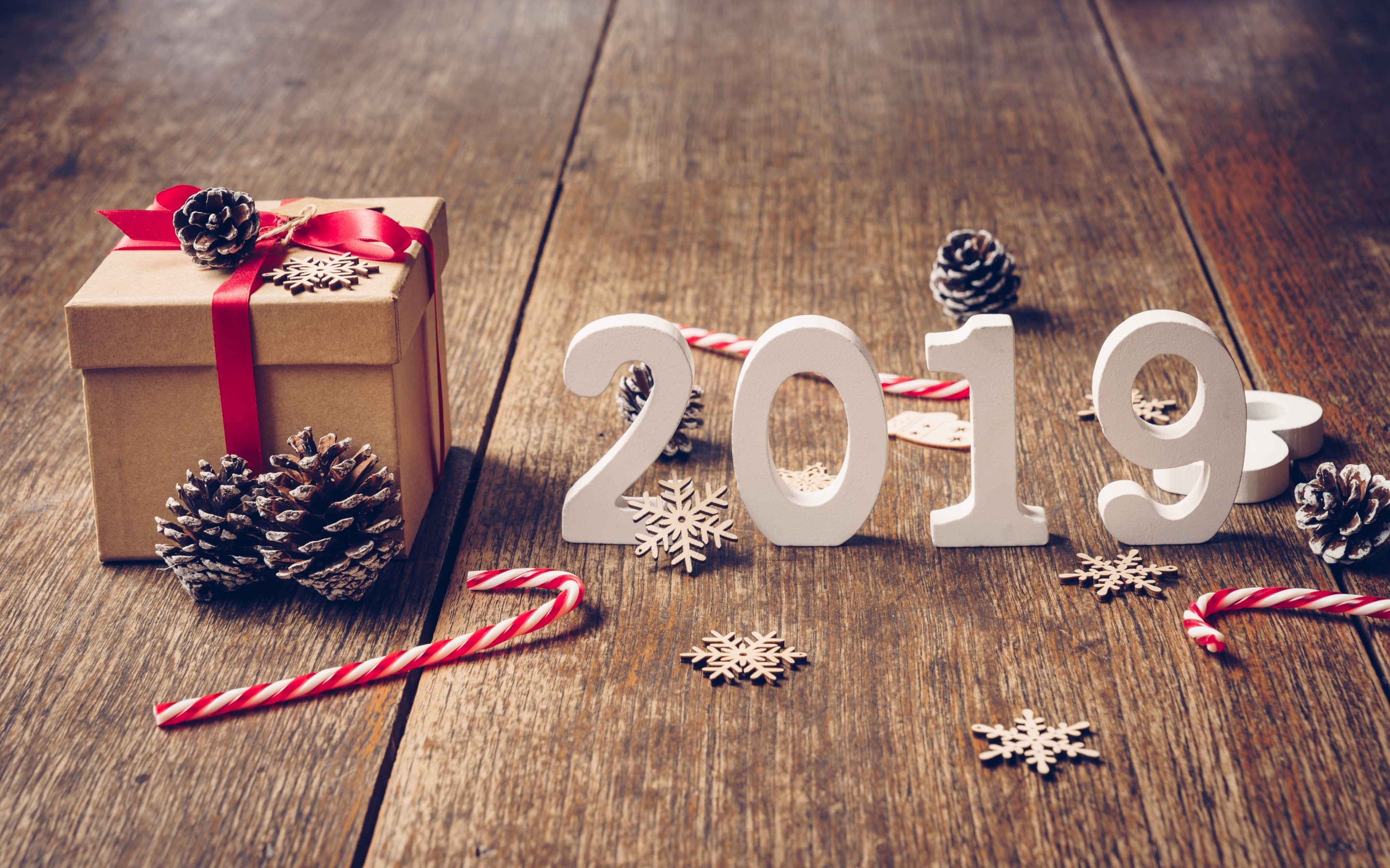 Christmas gift box with 2019 numbers and pine cones HD Wallpaper