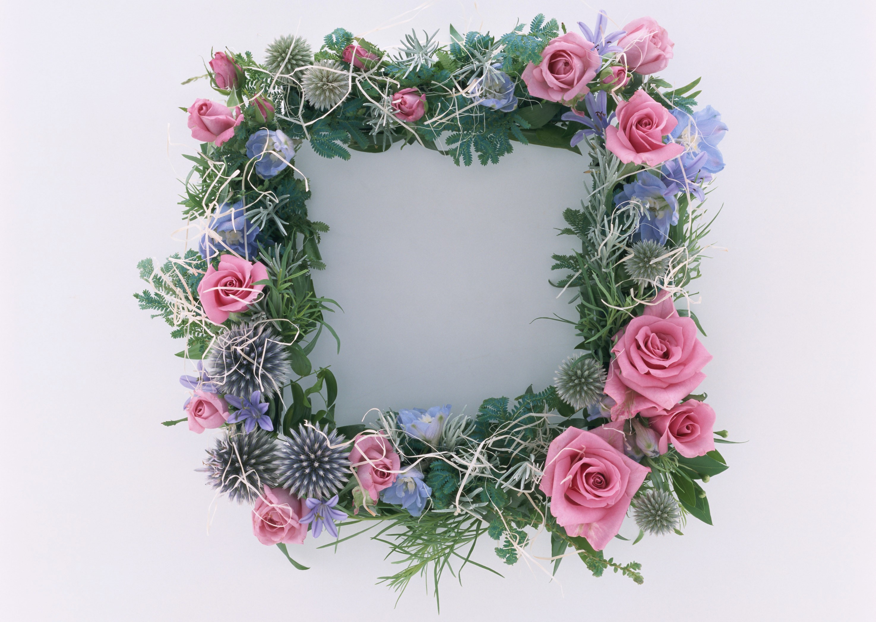 Square floral wreath with pink roses and blue thistles HD Wallpaper