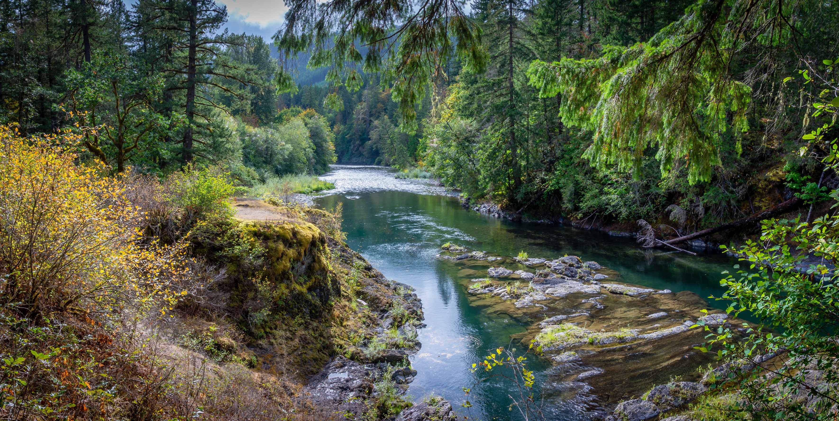 River flowing through a forest with autumn foliage HD Wallpaper
