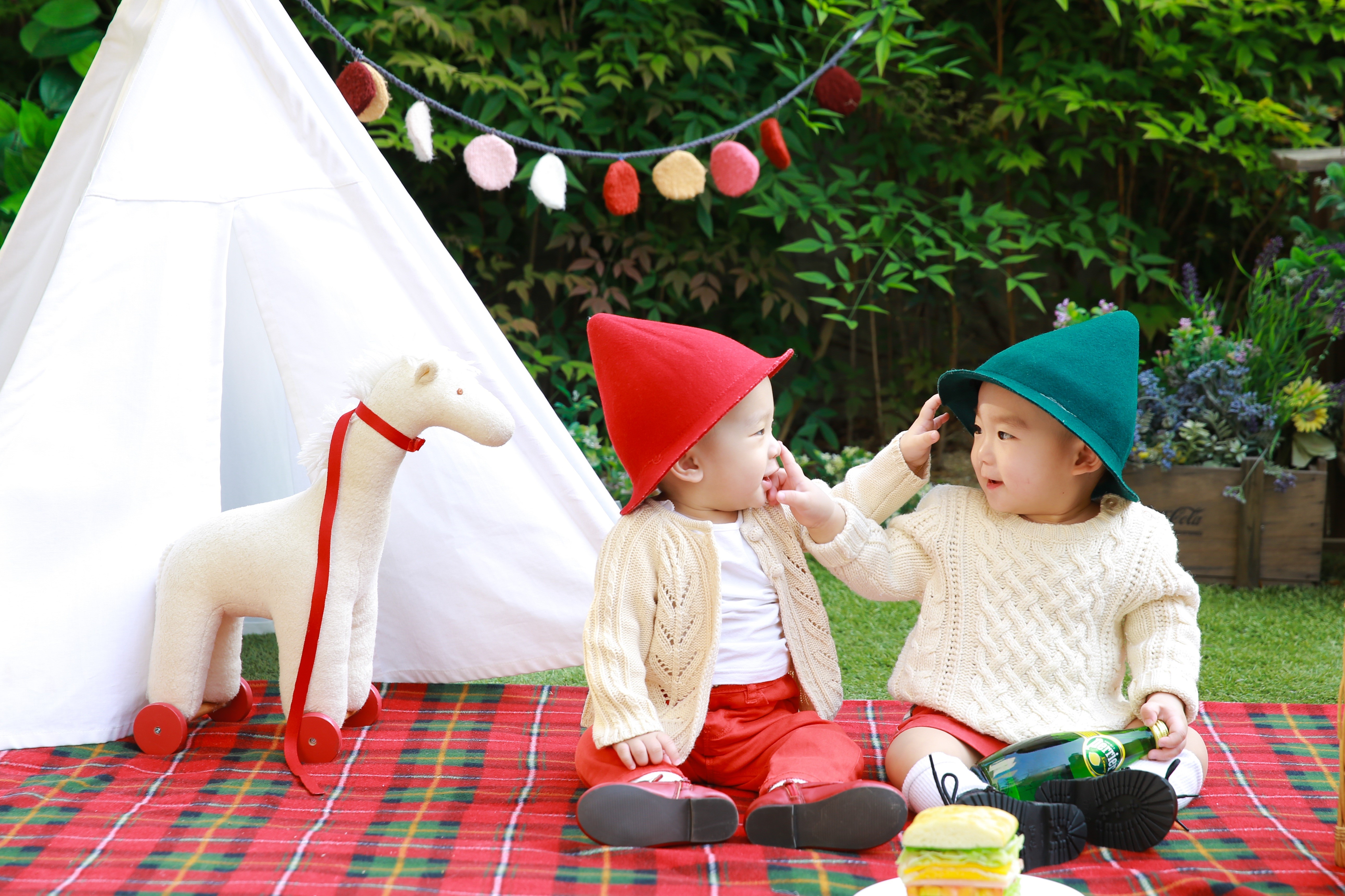 Two Asian babies in gnome hats at a picnic HD Wallpaper