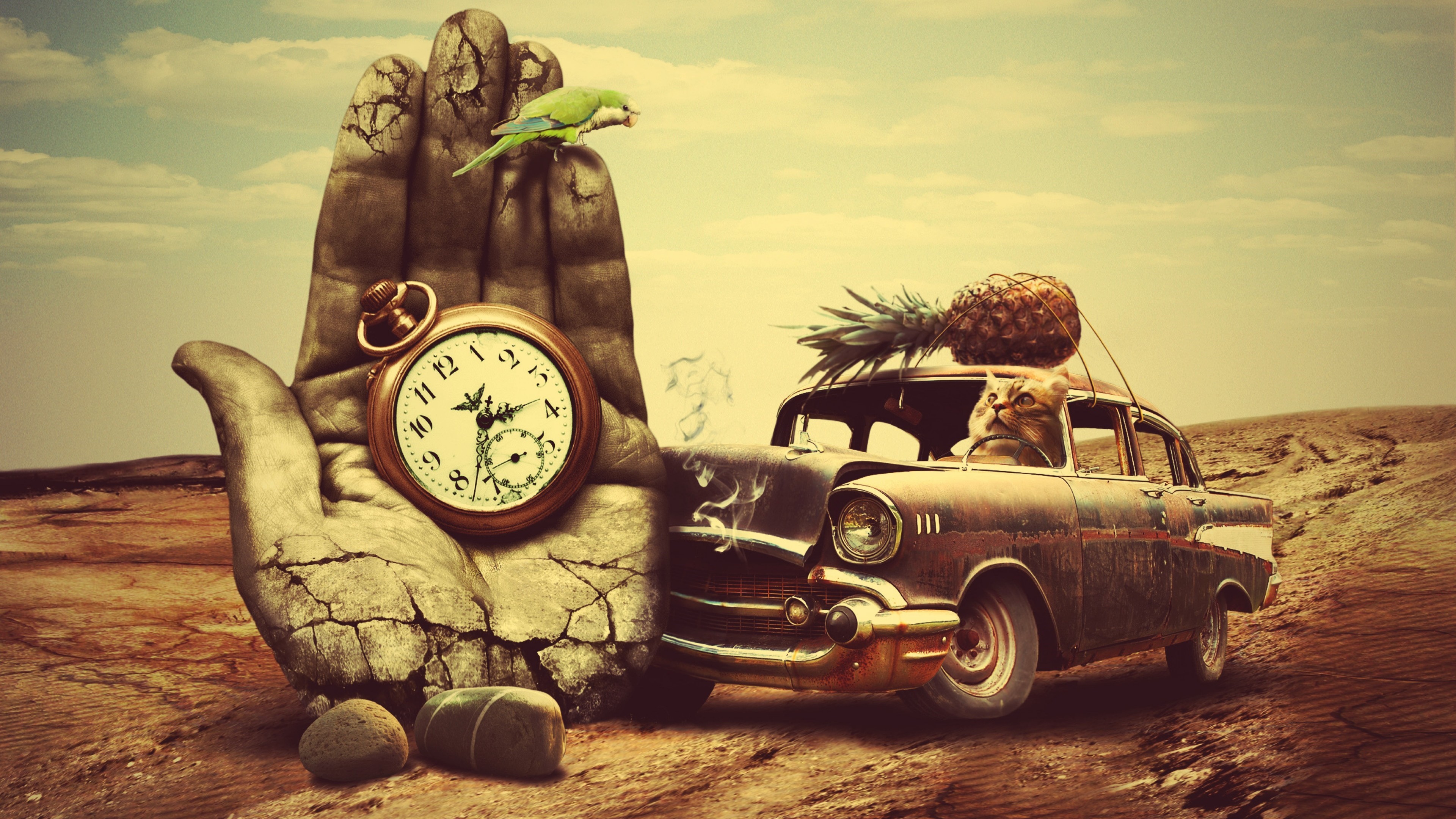 Surreal desert scene with a giant hand, pocket watch, and cat driving a car HD Wallpaper
