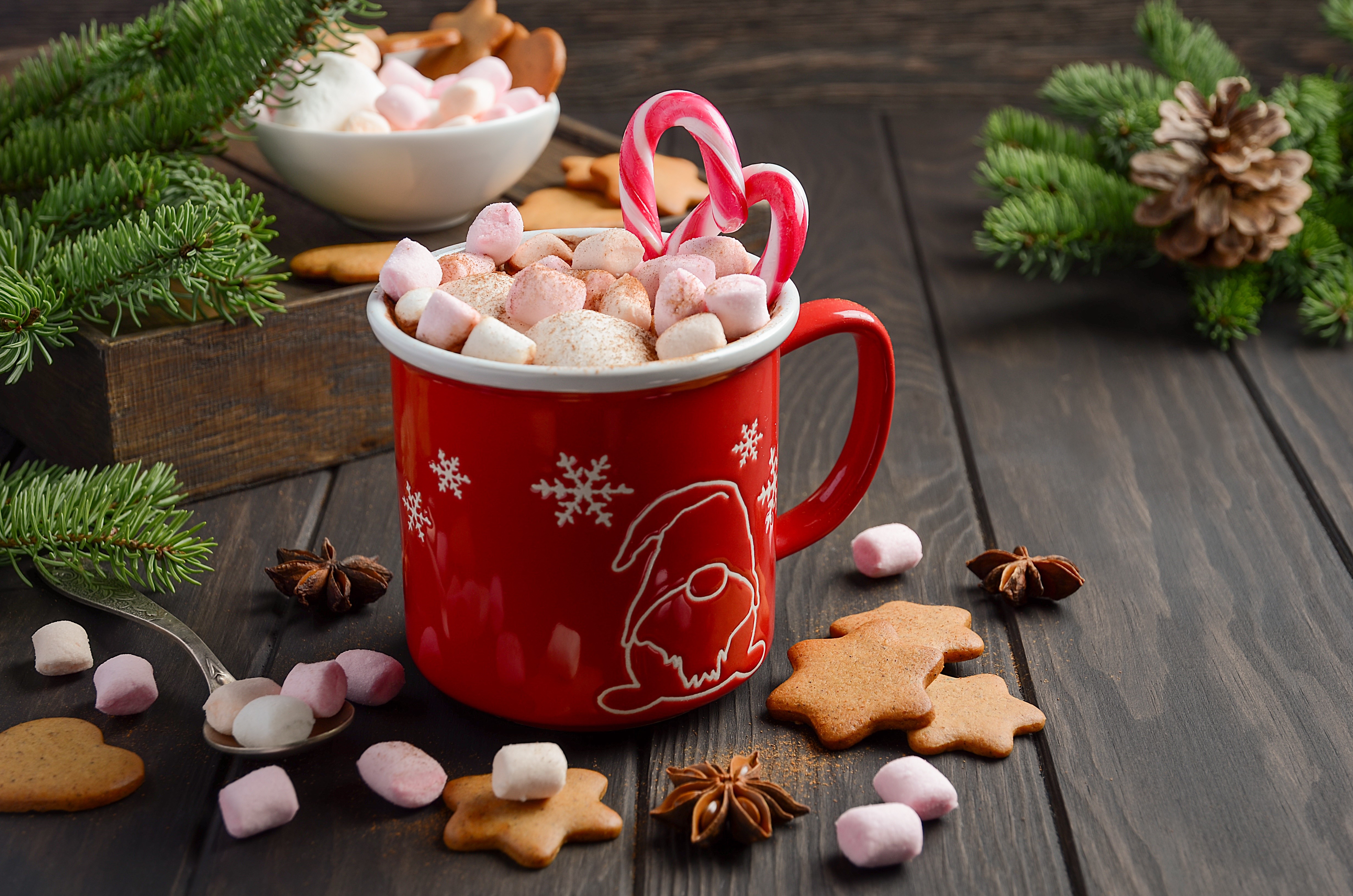 Christmas hot chocolate with marshmallows and cookies HD Wallpaper