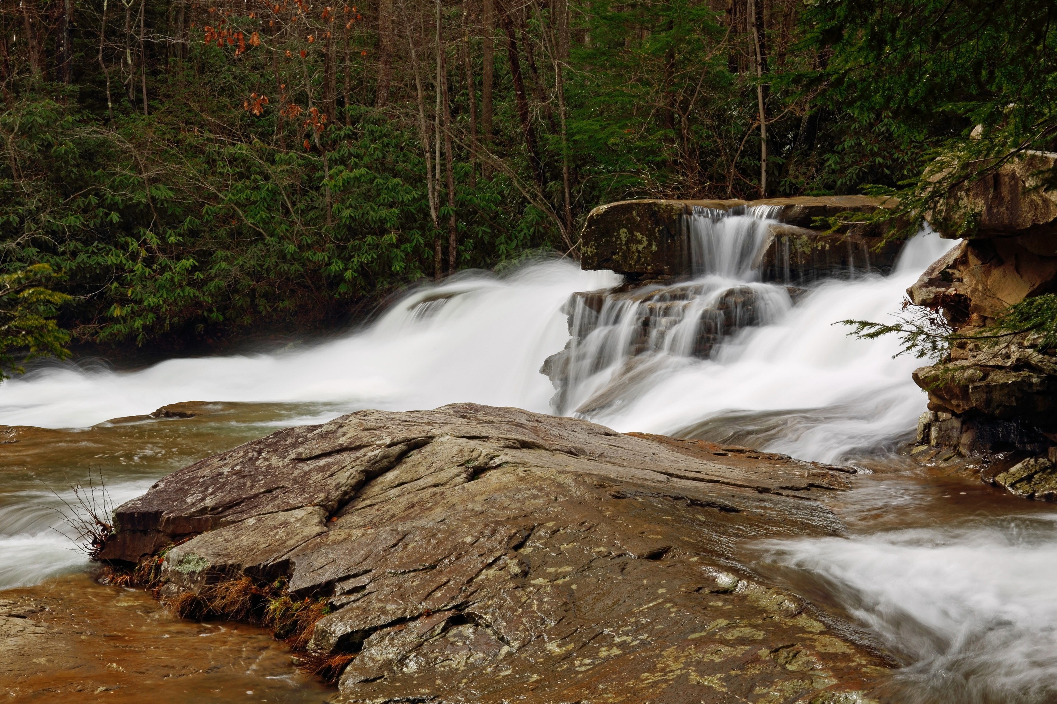 Waterfall in Ohiopyle State Park, Pennsylvania, USA HD Wallpaper