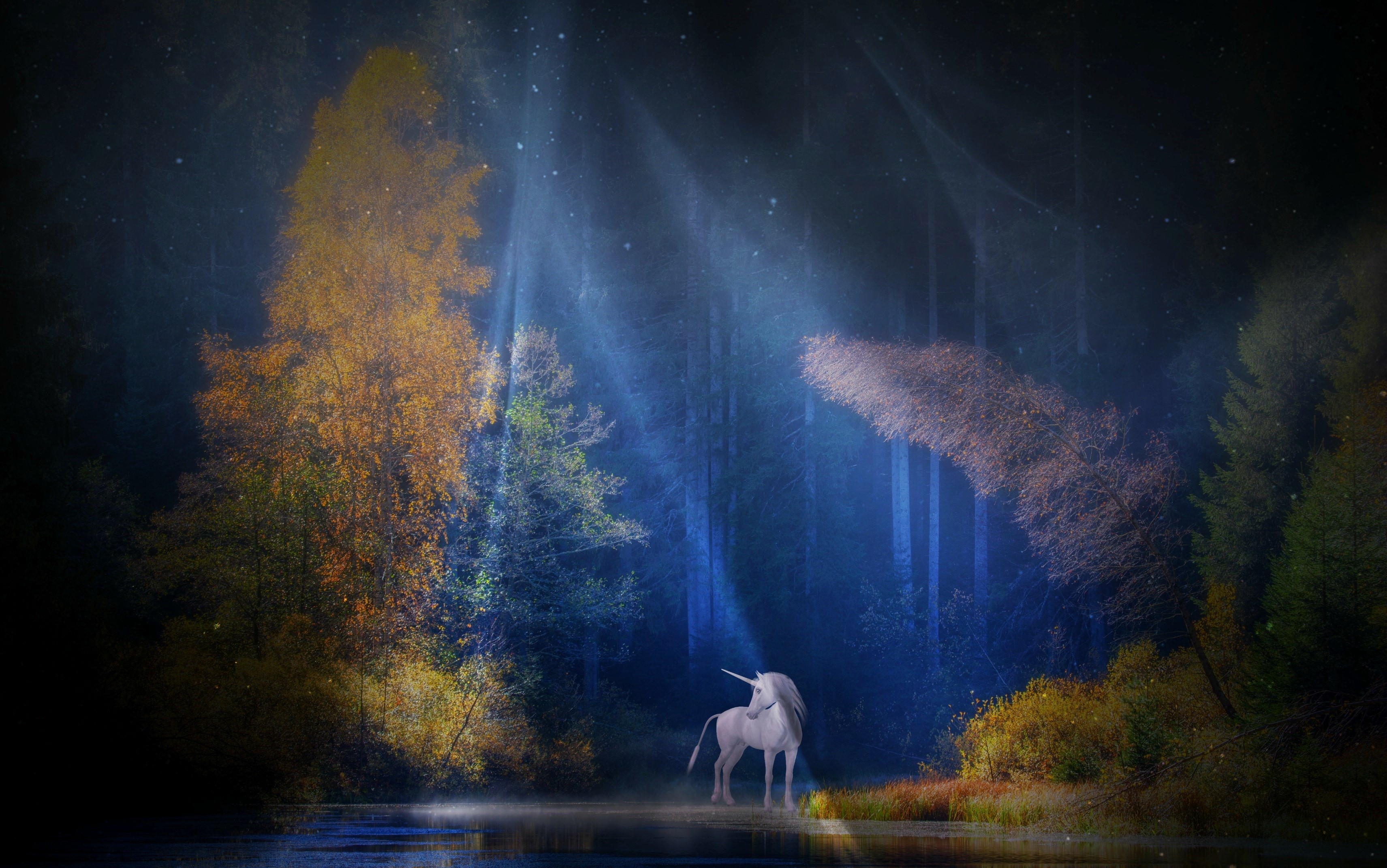 Unicorn in a moonlit forest with light rays HD Wallpaper