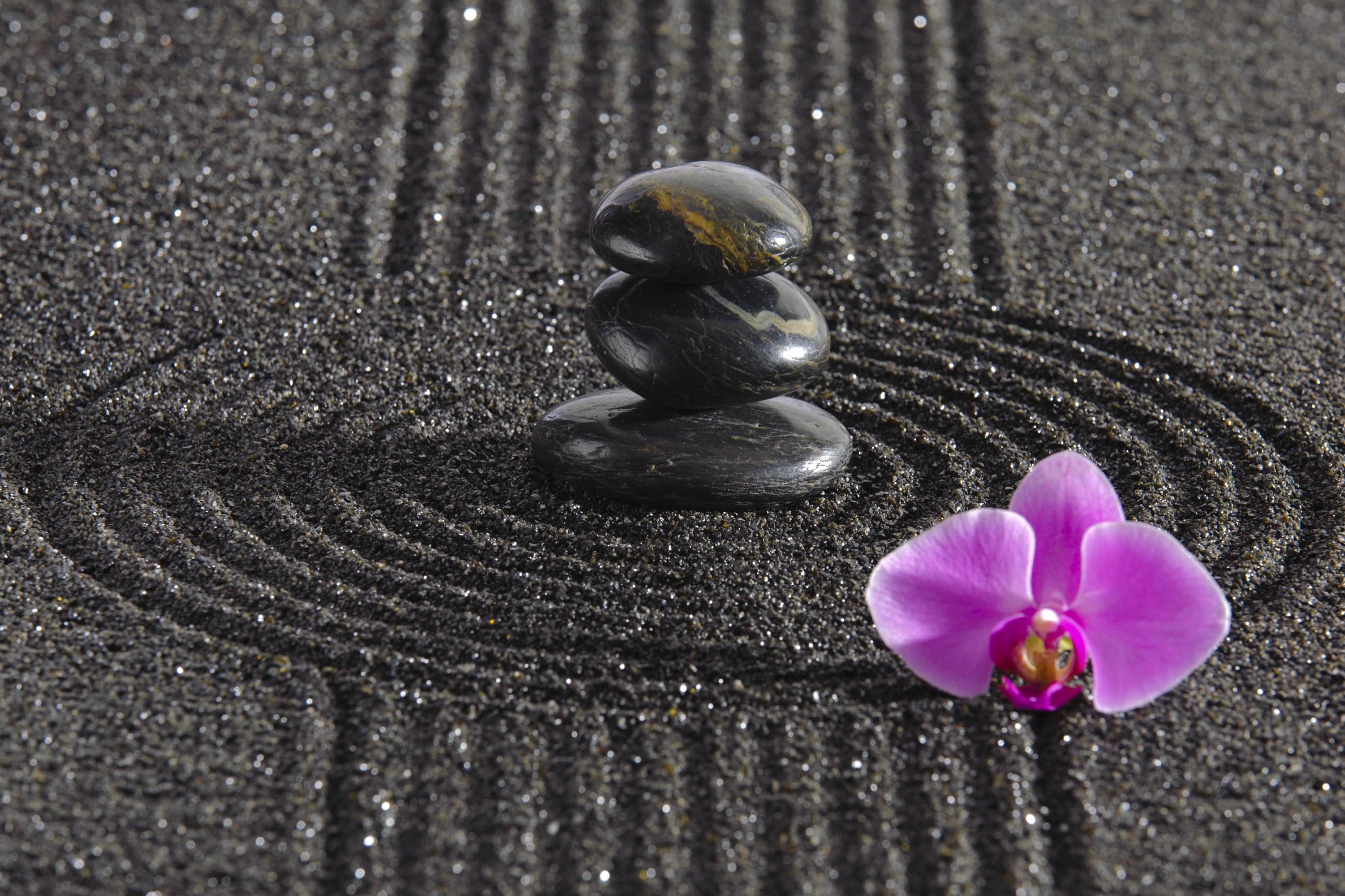 Zen garden with stacked stones and orchid HD Wallpaper