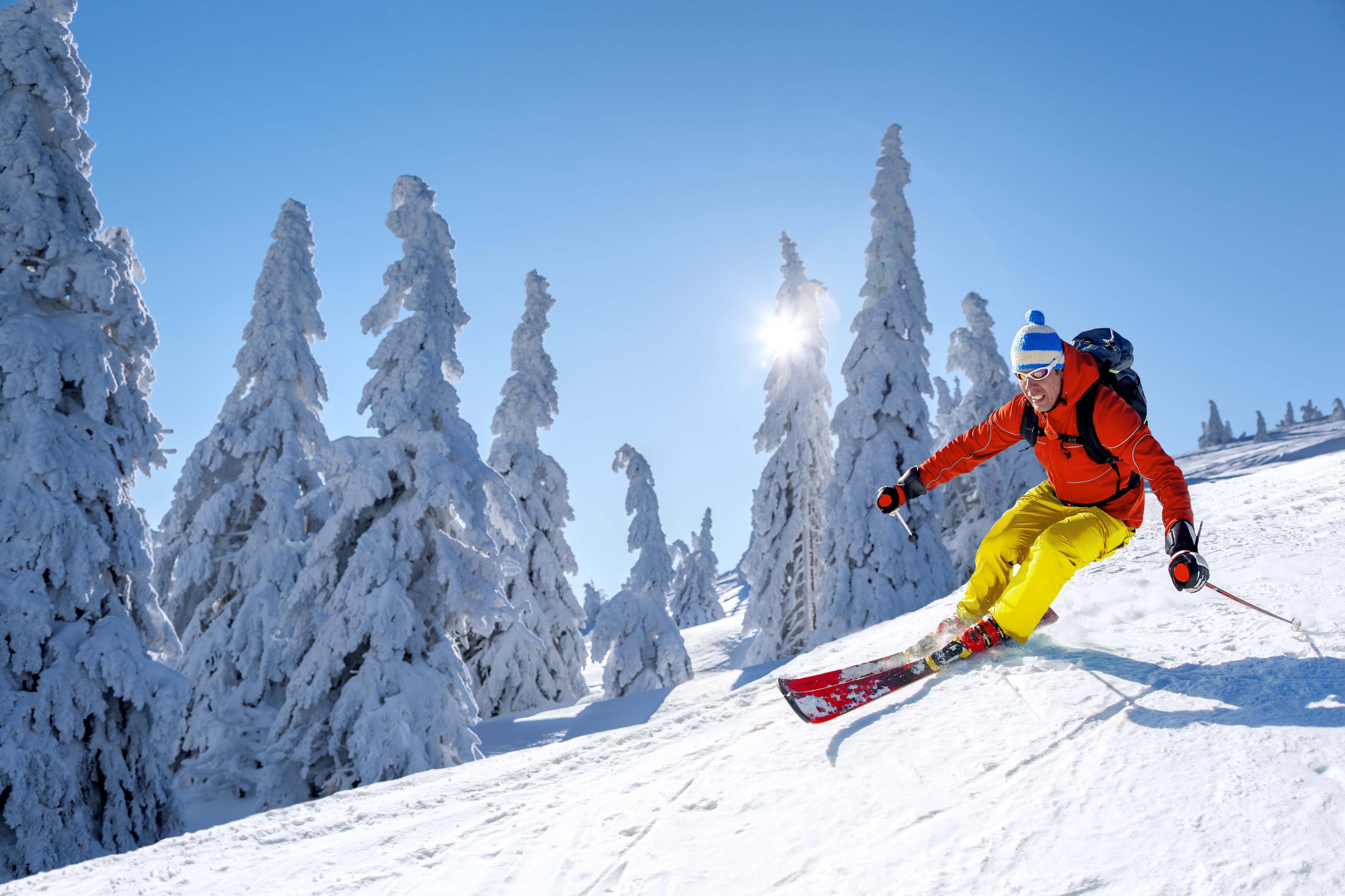 Man skiing down a snowy slope with snow-covered trees HD Wallpaper