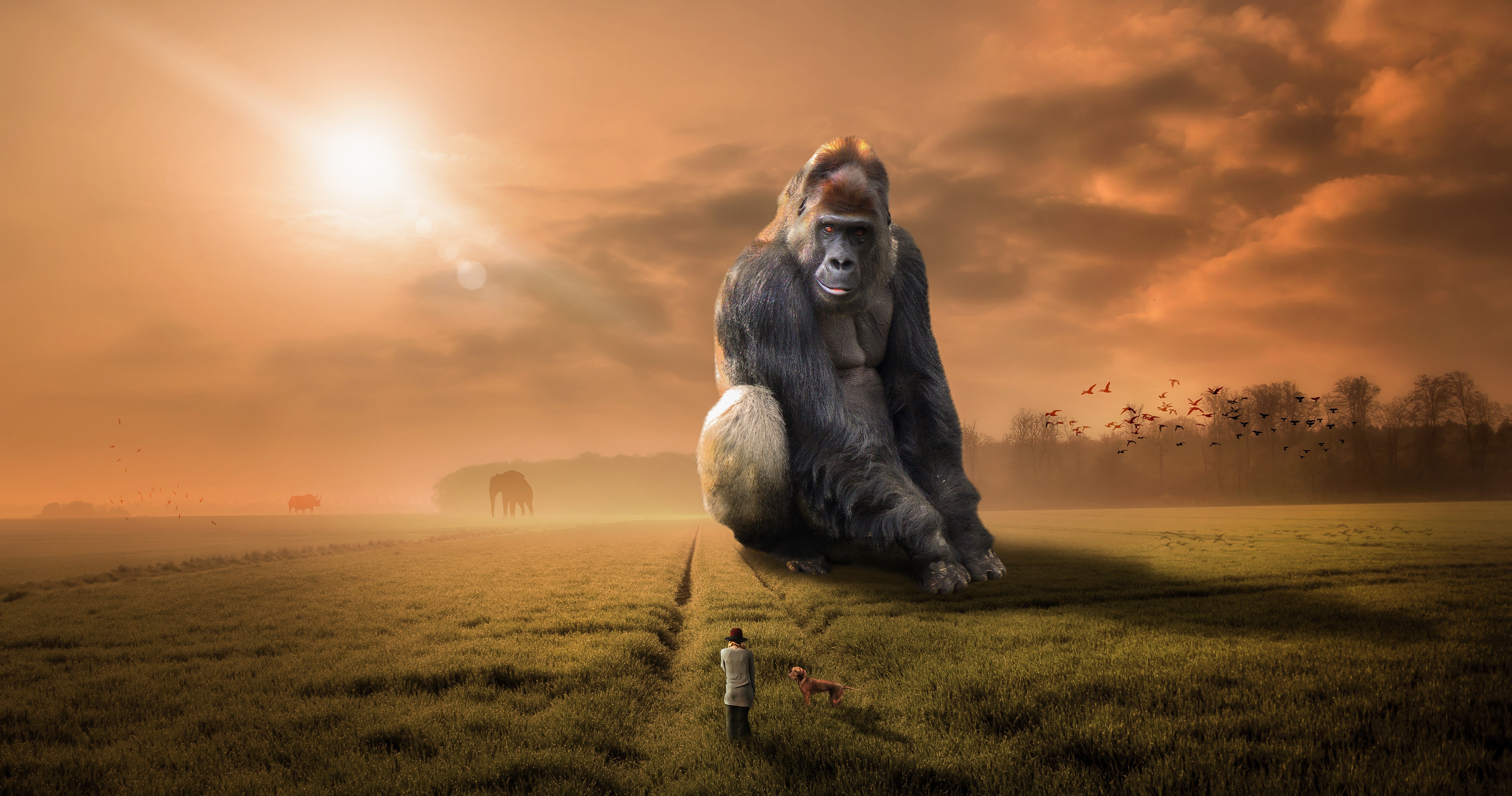 Giant Gorilla in a Field with a Person and Dog HD Wallpaper