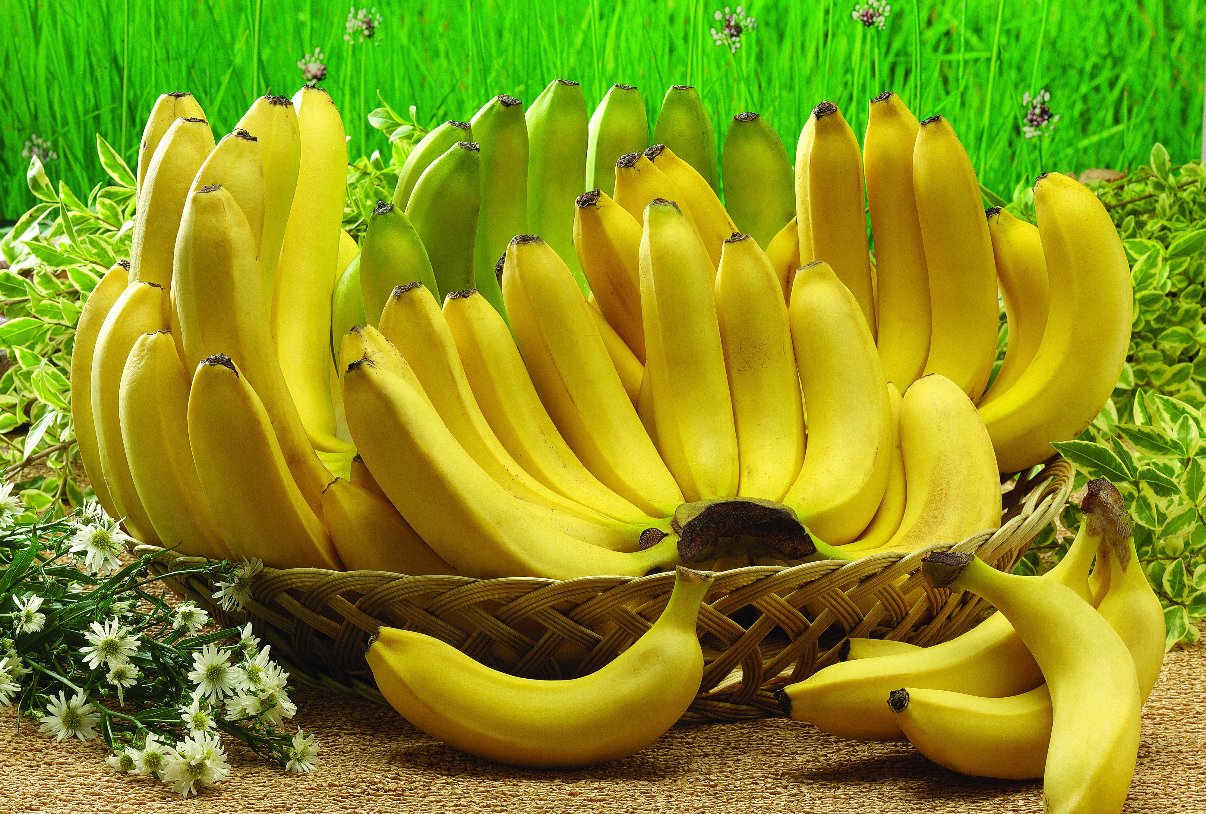 Bananas in a basket with grass background HD Wallpaper
