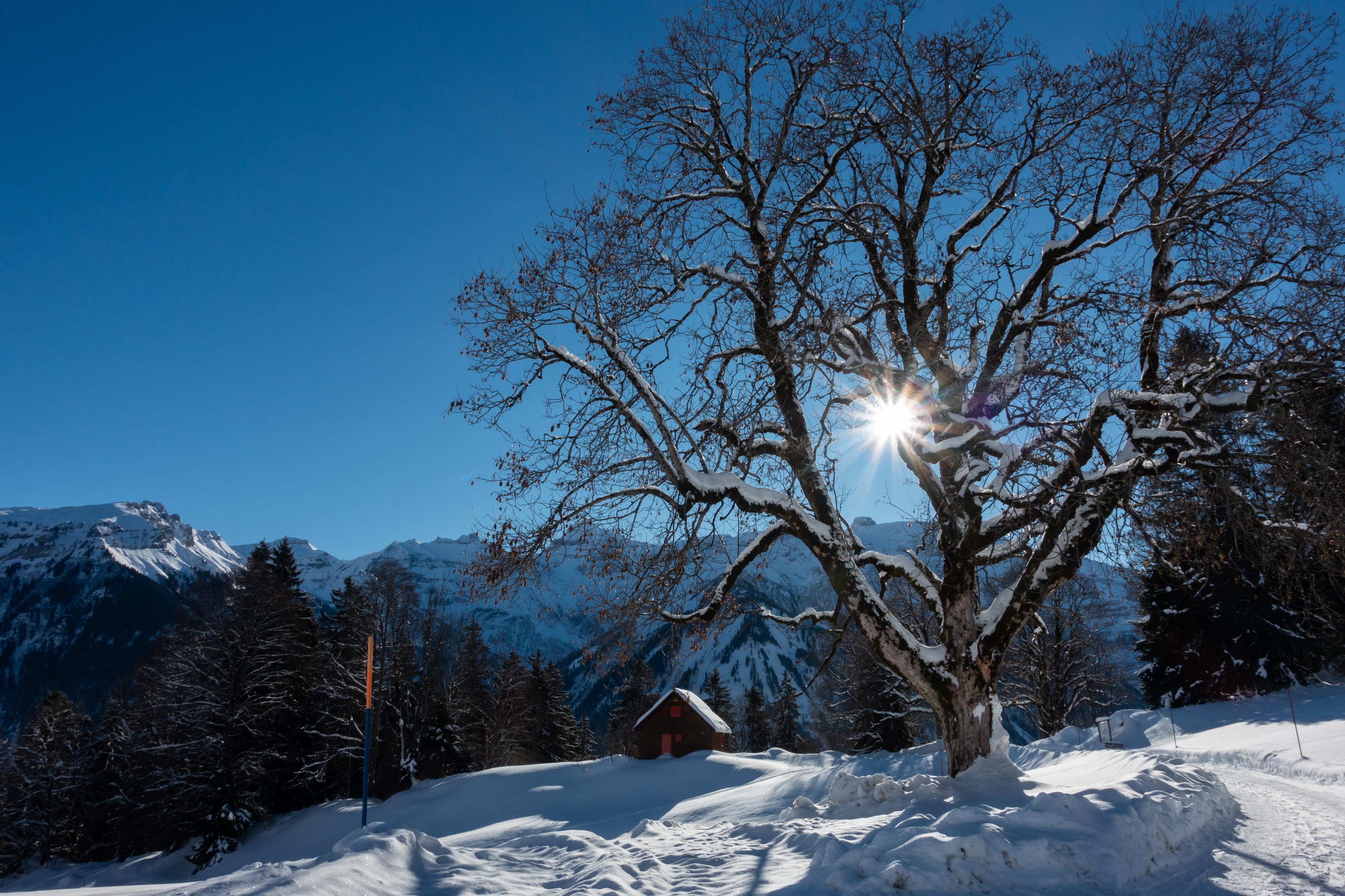 Winter scene in Braunwald, Switzerland with snow-covered mountains and trees HD Wallpaper