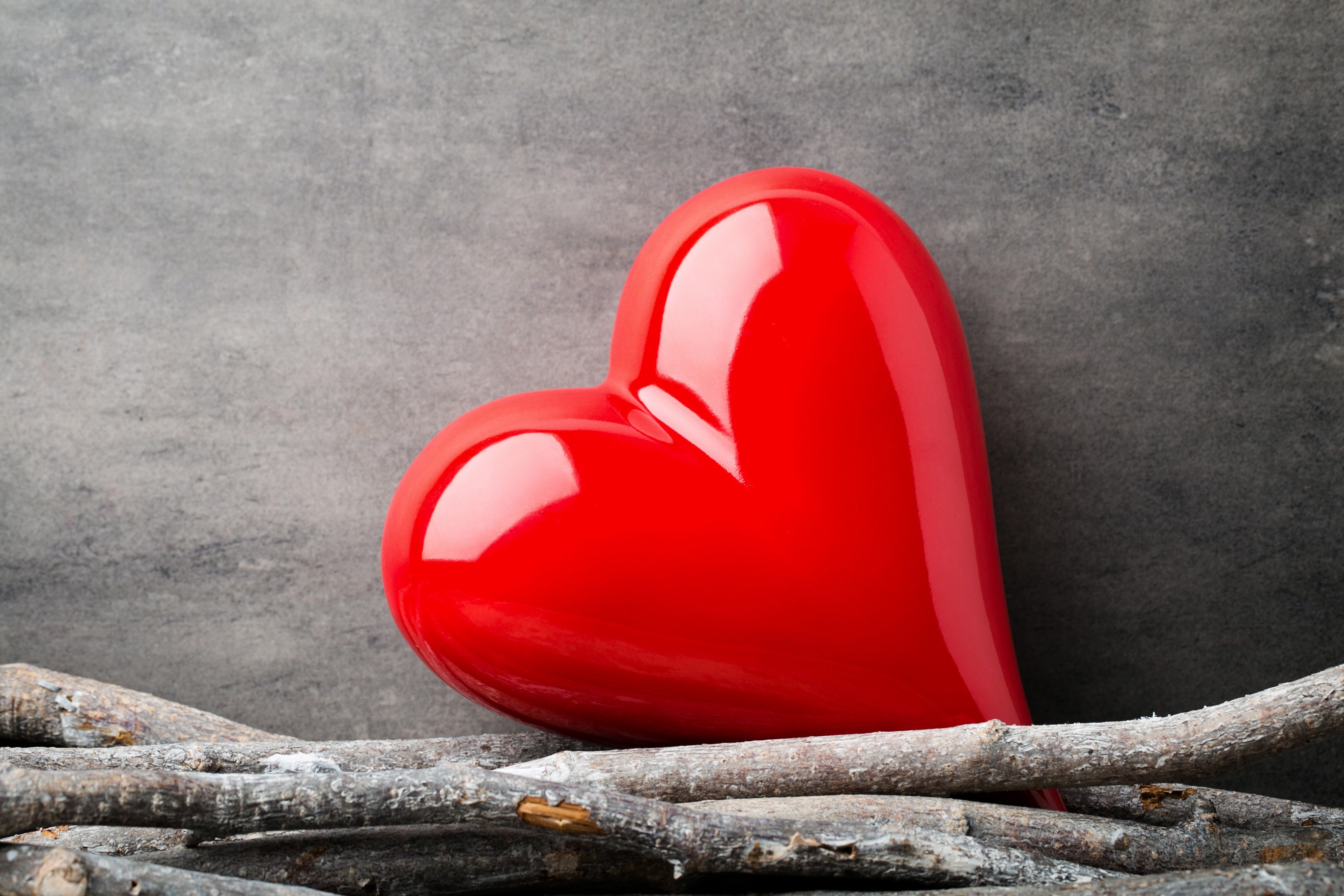Red Heart on Branches with Gray Background HD Wallpaper