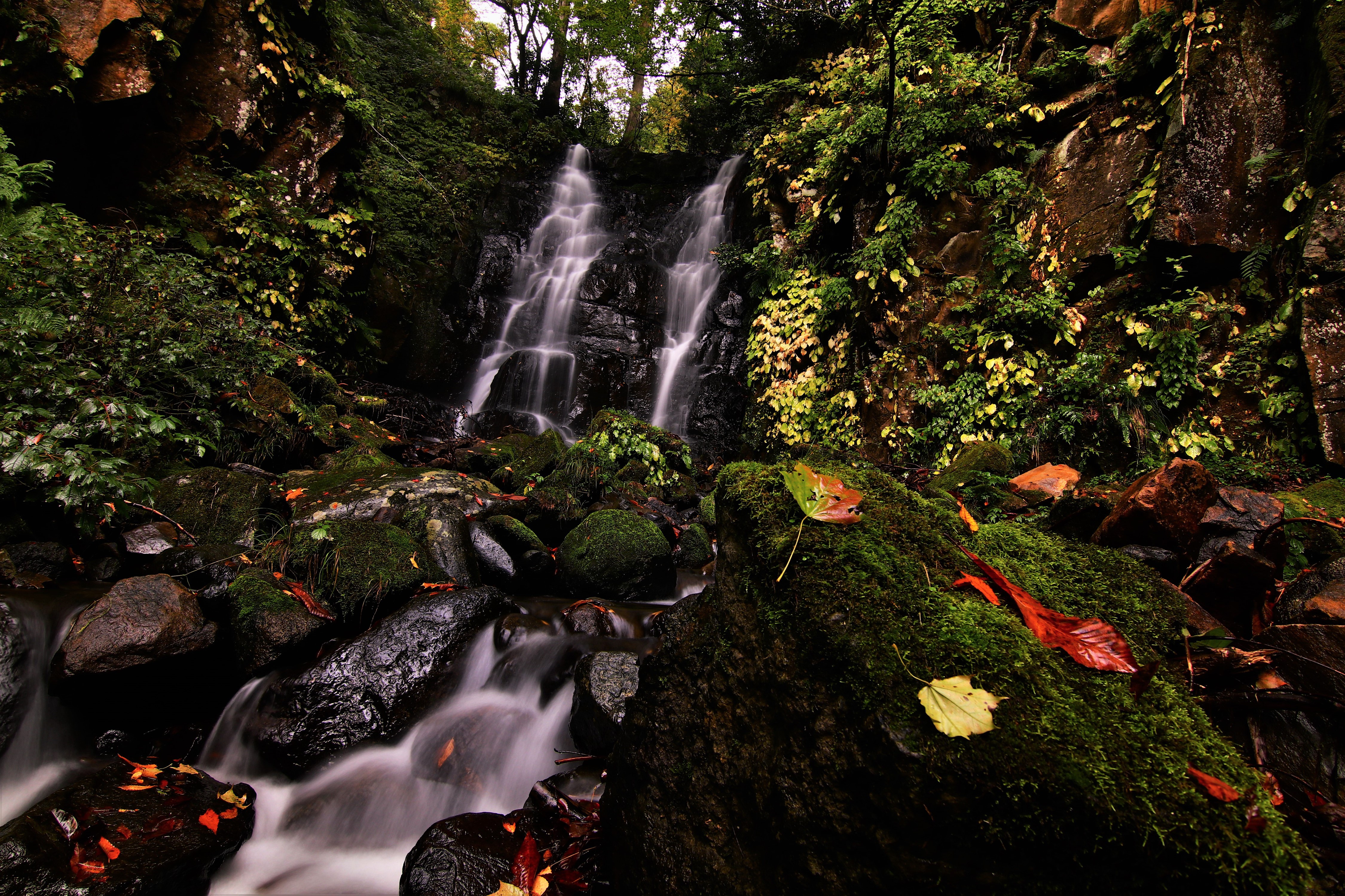 4K Fudotaki Falls Katsuyama Japan Waterfalls Stones Moss HD Wallpaper