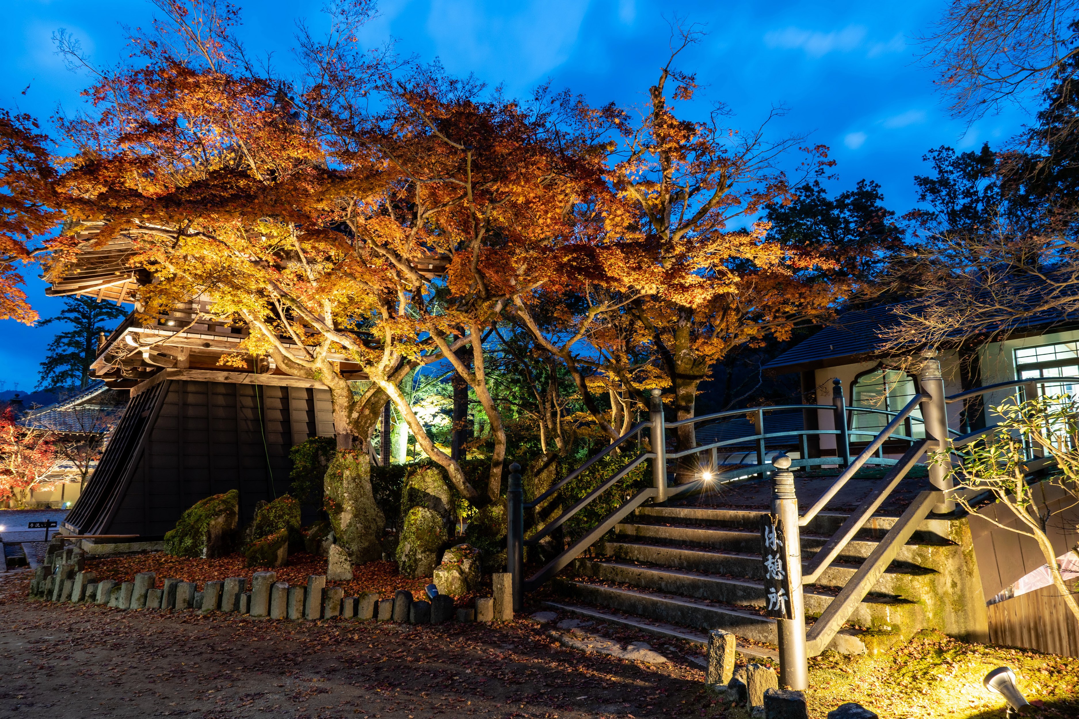 Illuminated Autumn Trees and Temple Stairs at Dusk in Shiga, Japan HD Wallpaper