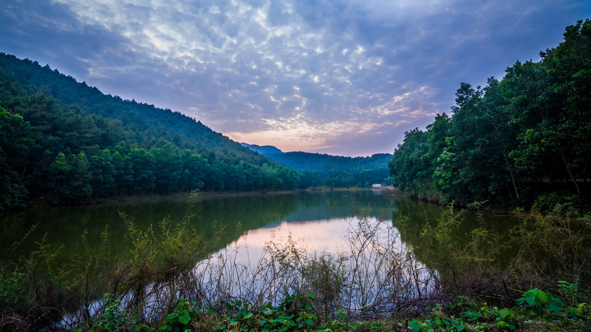 Lake and Forest in Vietnam HD Wallpaper