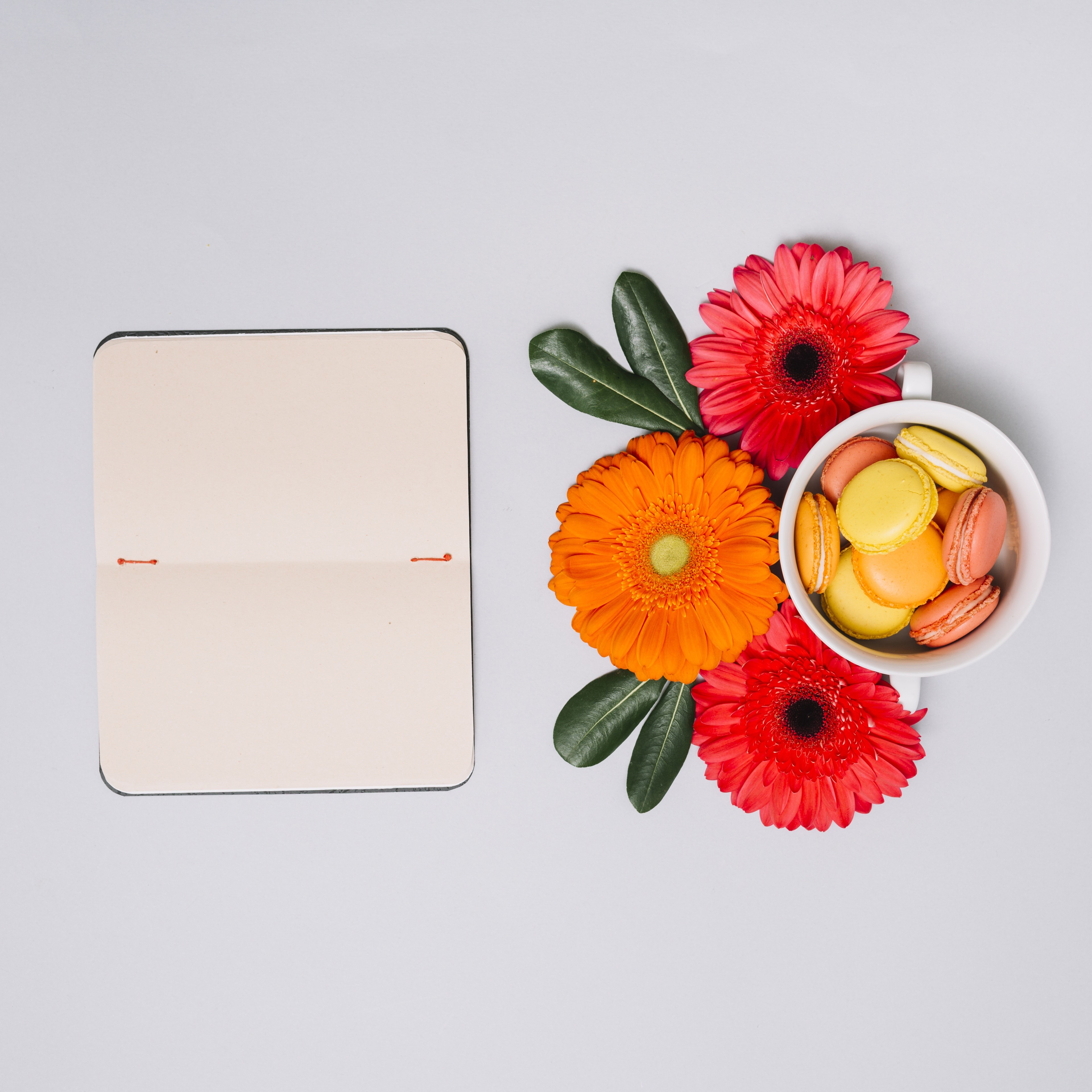 Gerberas, Macarons, and Notepad HD Wallpaper
