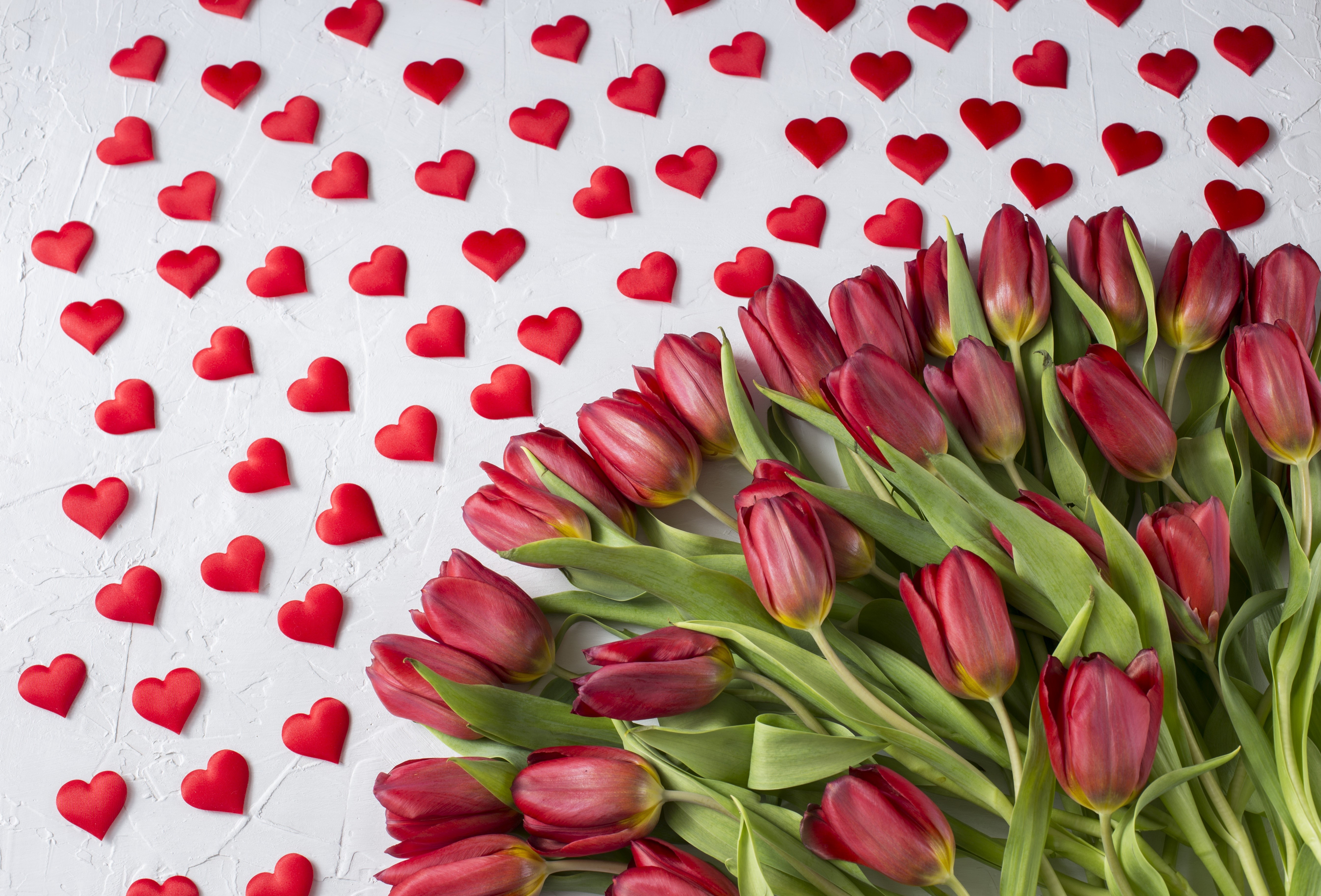 Red Tulips and Hearts HD Wallpaper