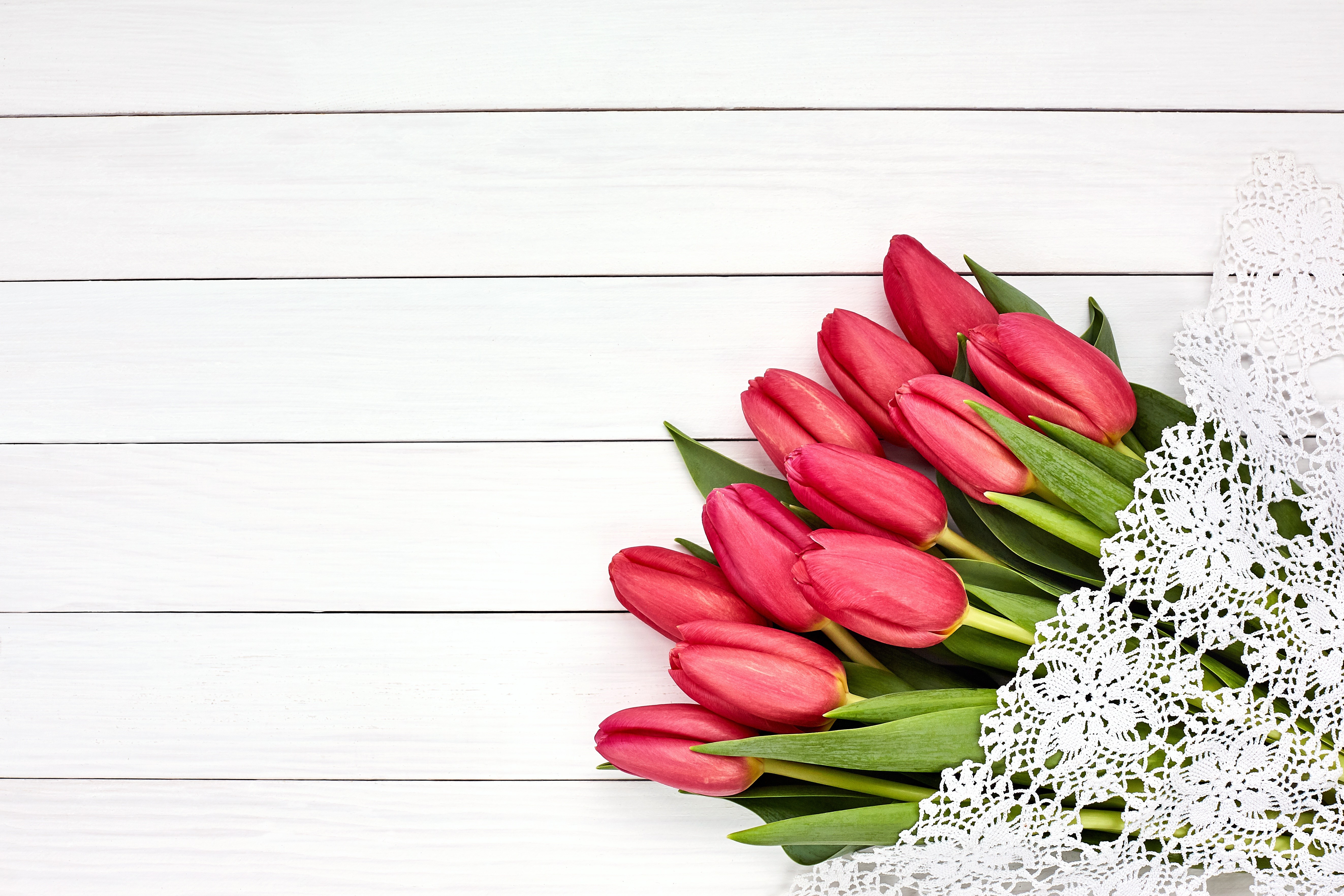 Red Tulips on White Wood Planks HD Wallpaper