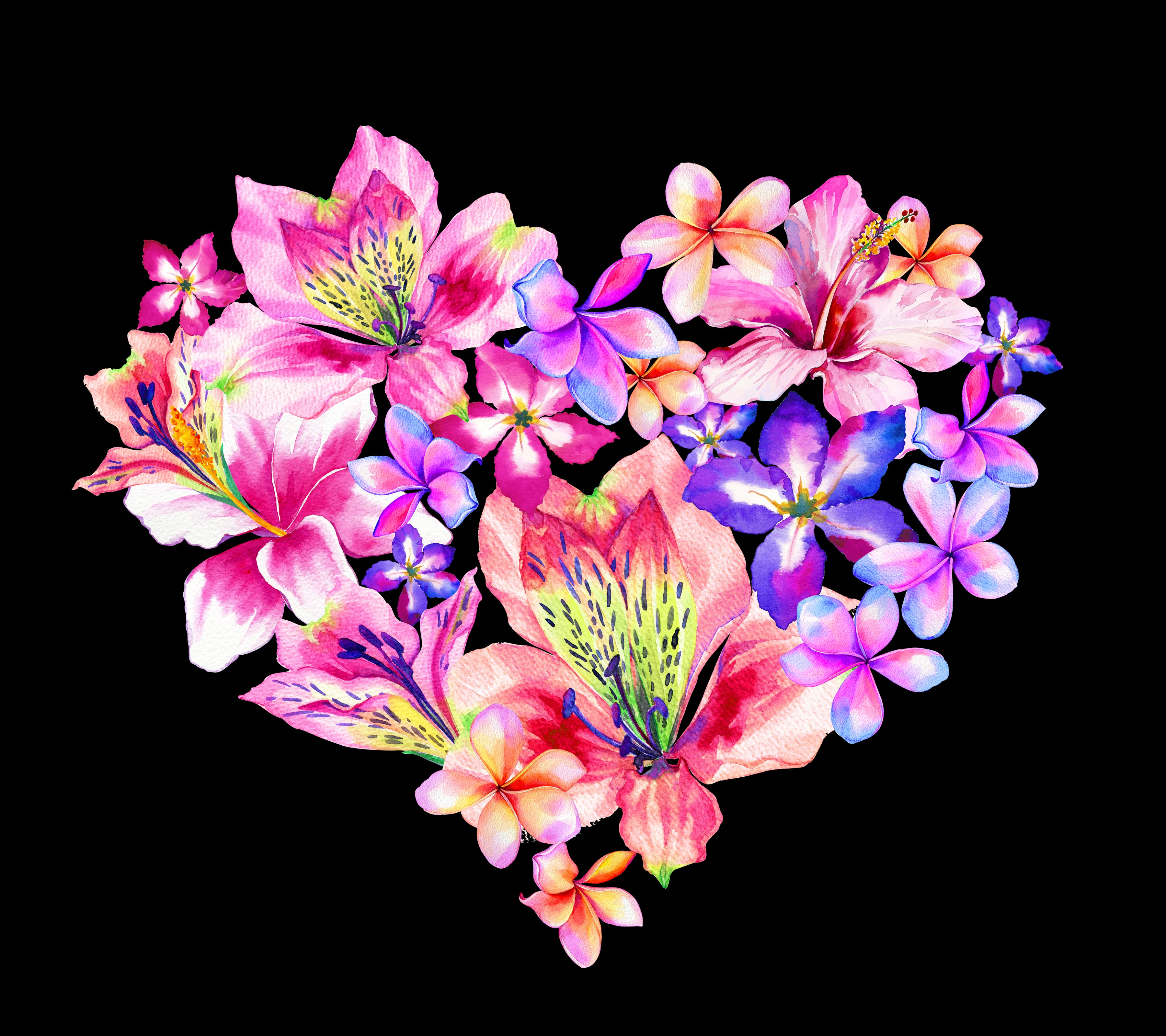 Heart shape of Alstroemeria and Plumeria flowers HD Wallpaper