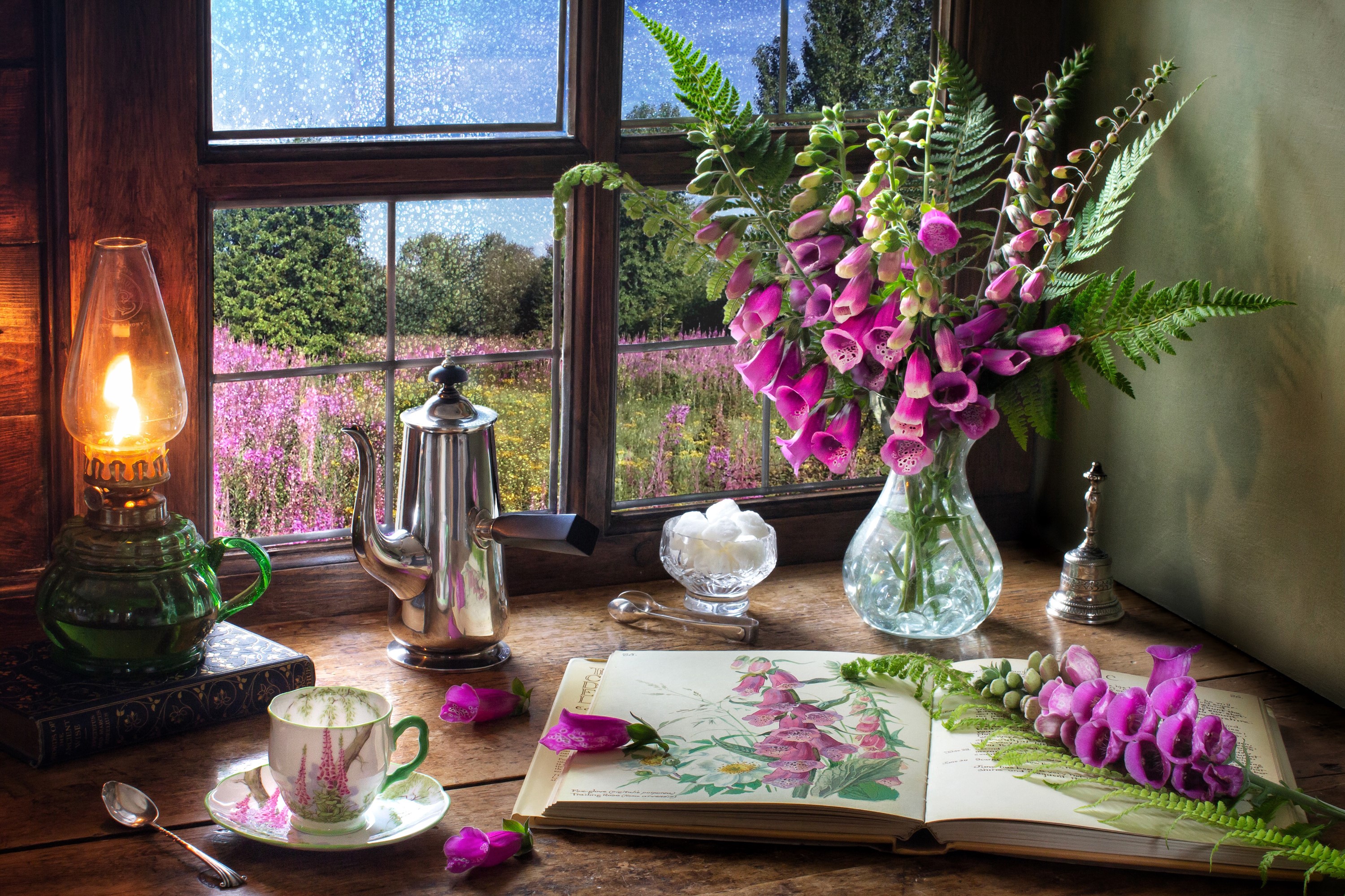 Still-life with Digitalis, Kerosene lamp, Kettle, Vase, Book, Cup HD Wallpaper