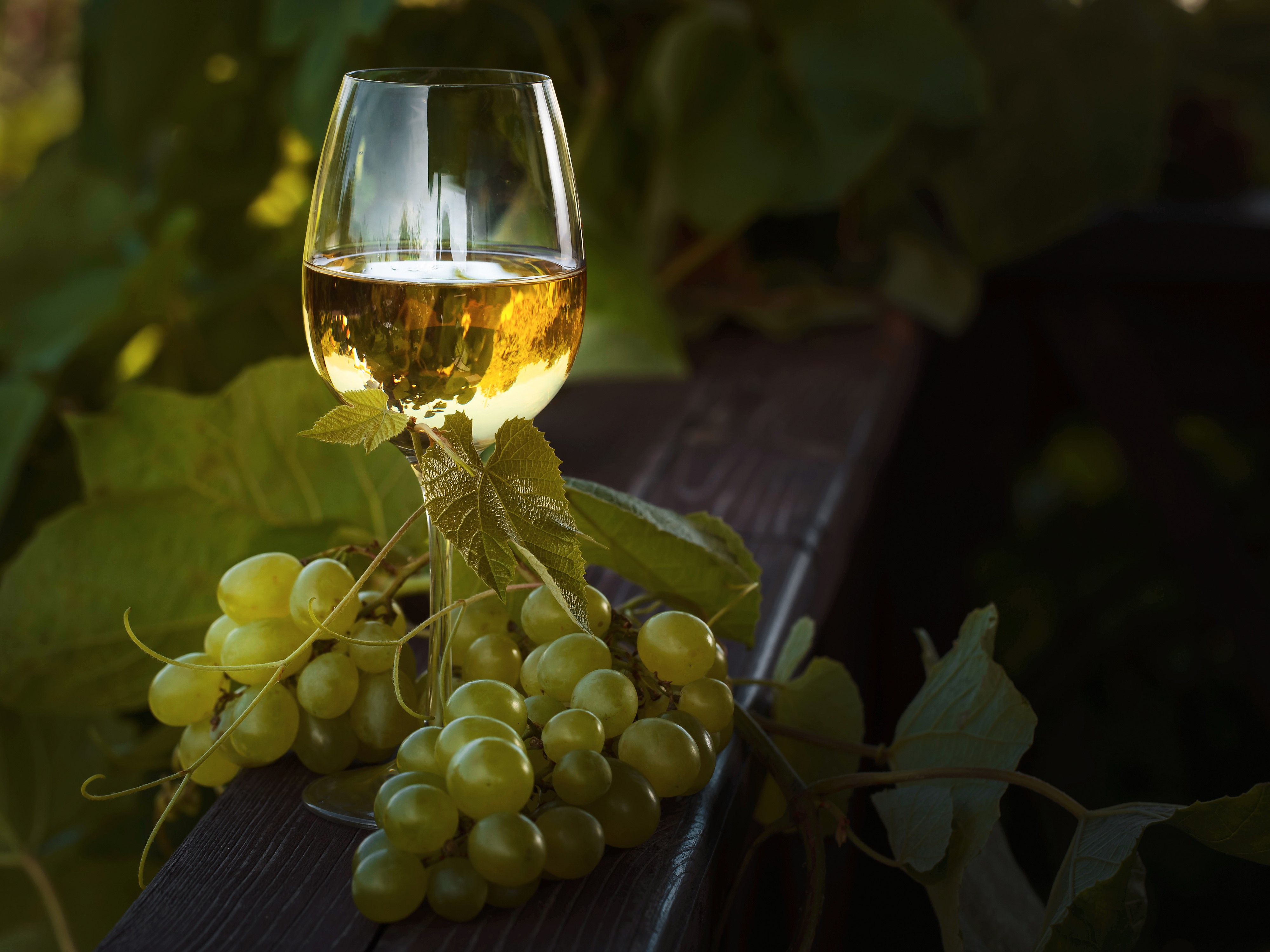 Glass of white wine with green grapes HD Wallpaper