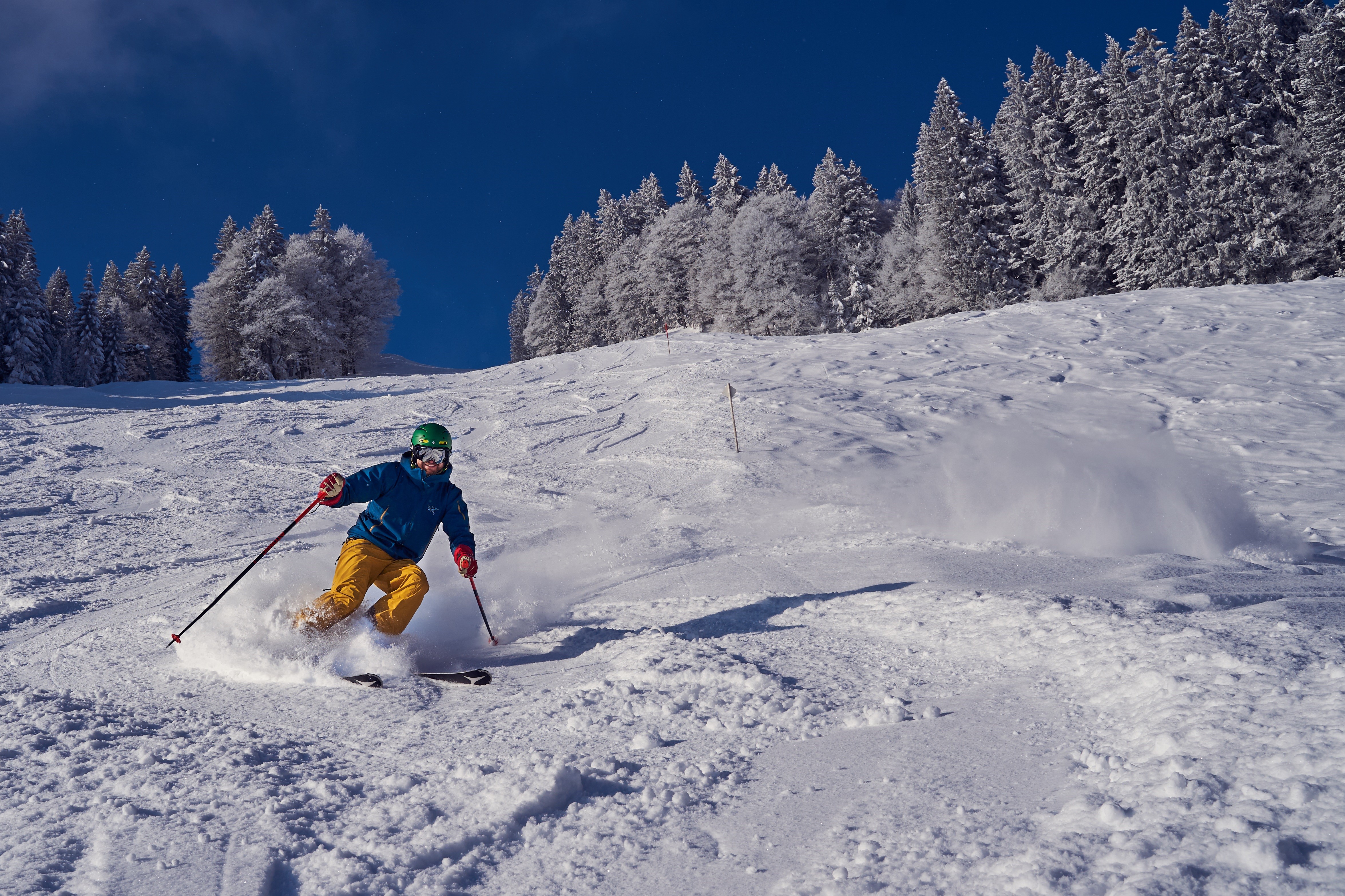 Man skiing down a snowy slope with trees in the background HD Wallpaper