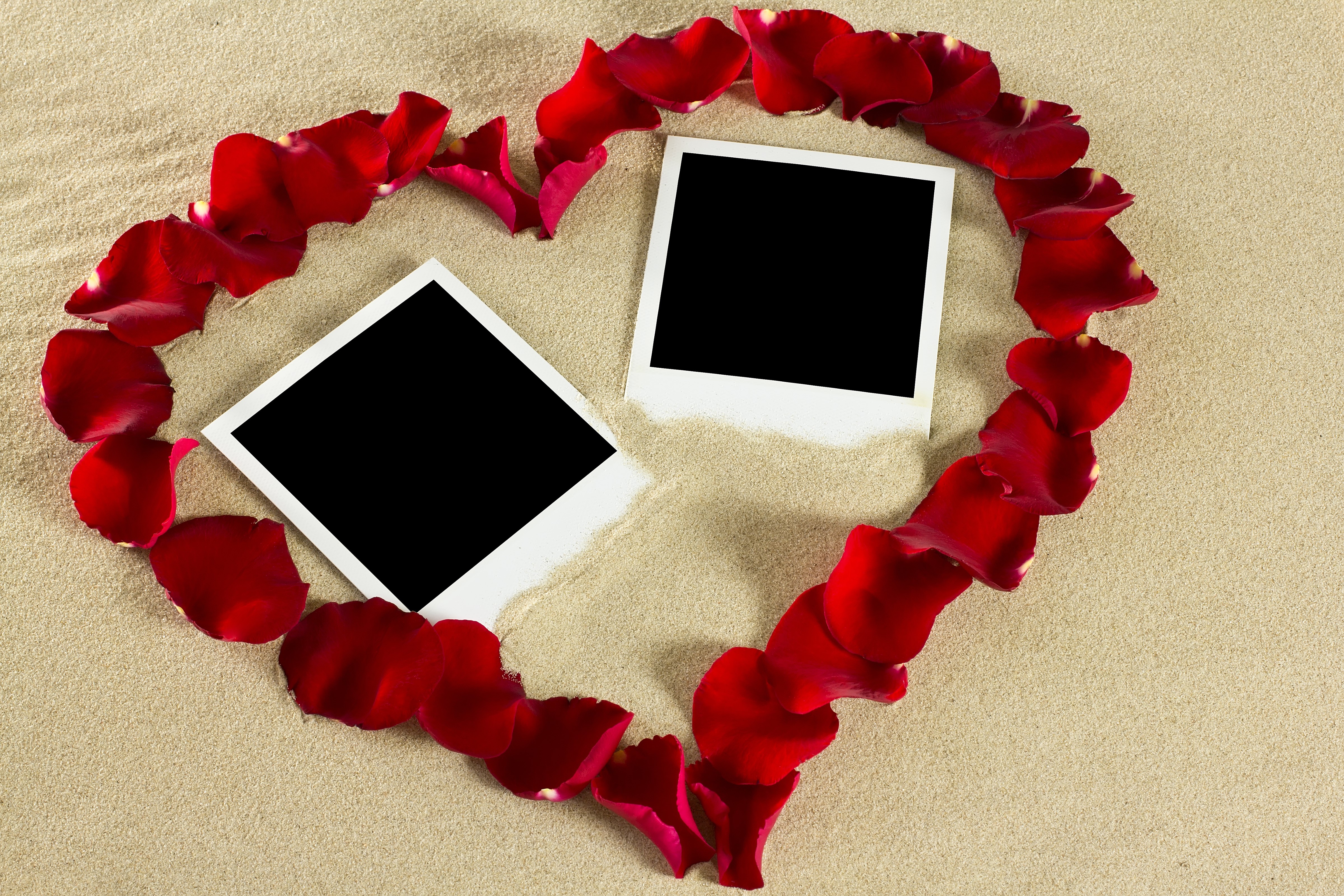 Heart shape made of rose petals with two photo frames on sand HD Wallpaper